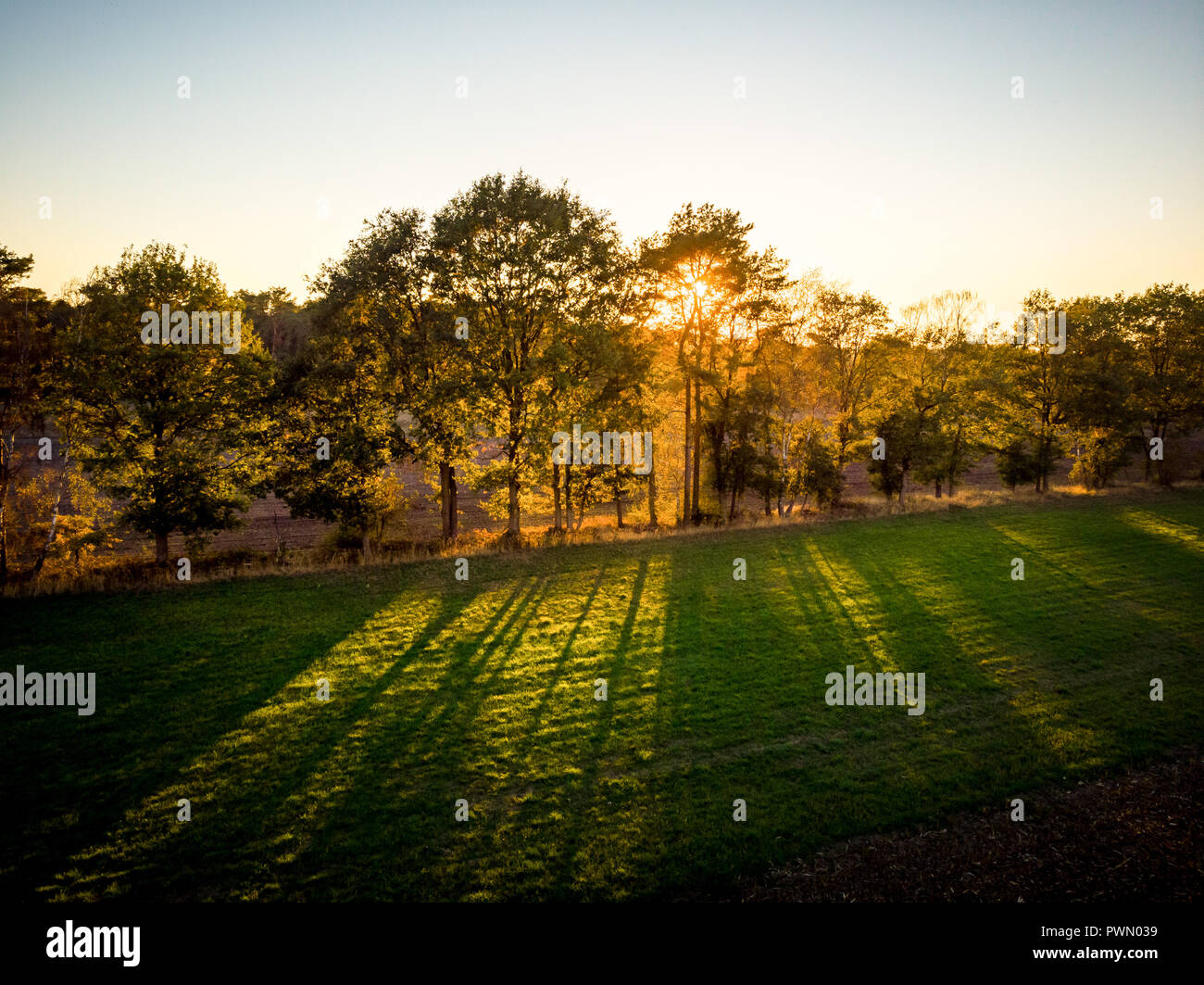 Drone vista sui raggi del sole cadere attraverso gli alberi Foto Stock