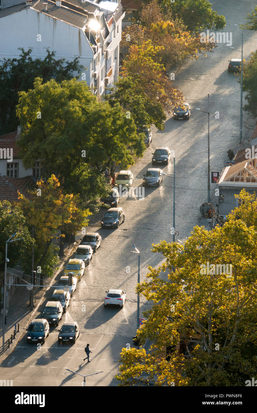 Foglie di autunno cadono nella strada alberata di Plovdiv, Bulgaria Foto Stock