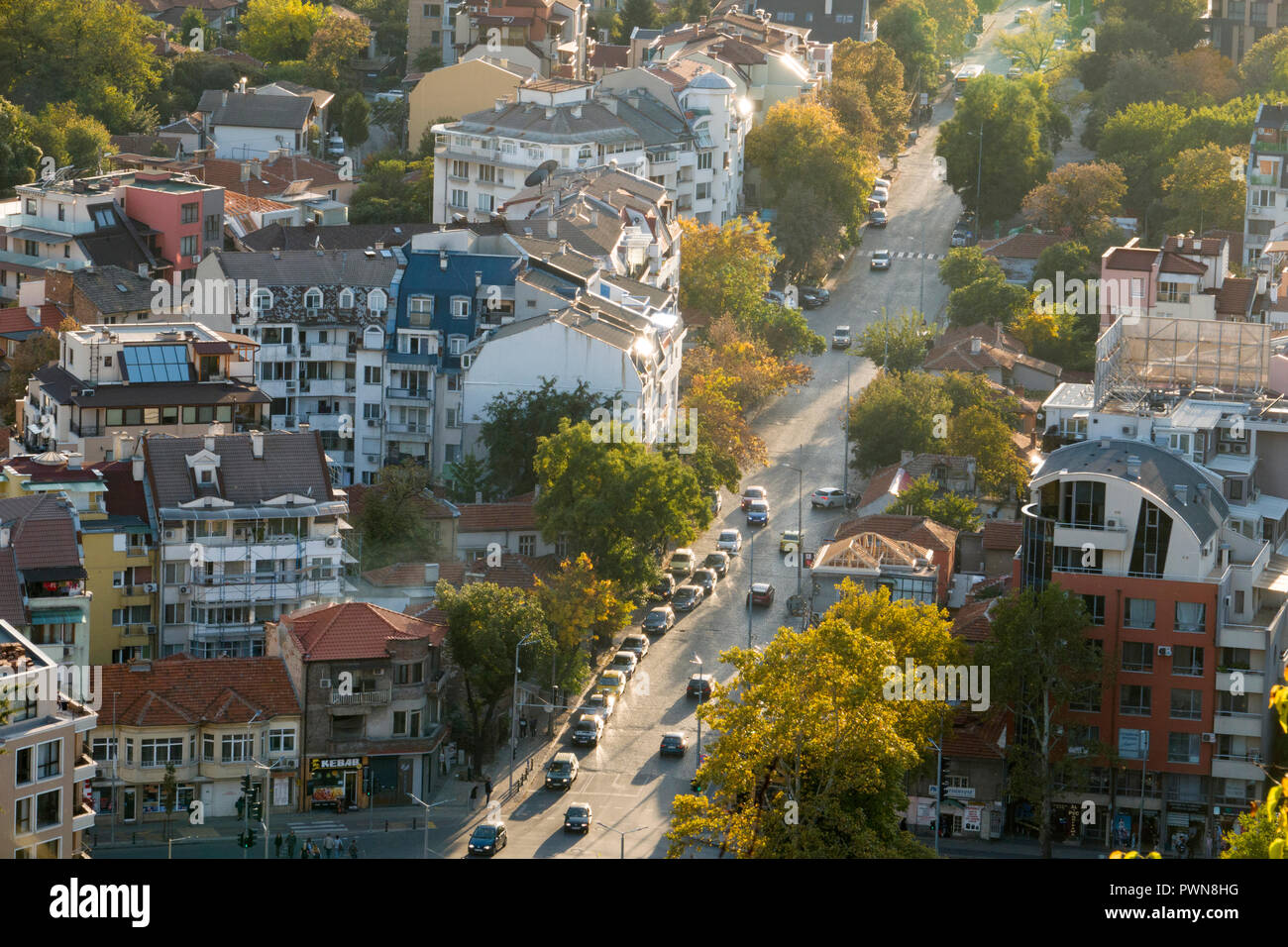 Foglie di autunno cadono nella strada alberata di Plovdiv, Bulgaria Foto Stock