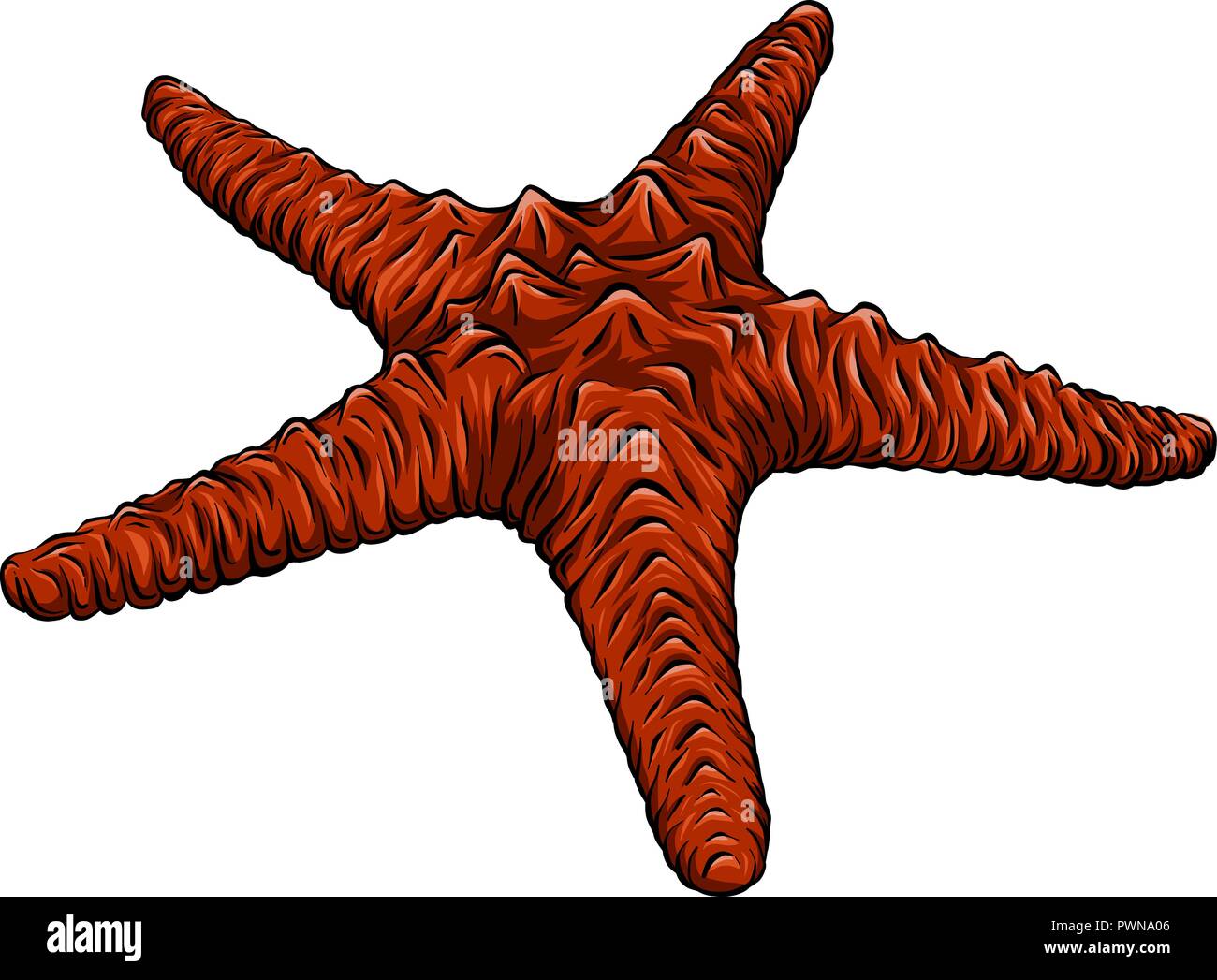 Starfish in stile appartamento. Icona di Marine in stile cartoon. Estate illustrazione vettoriale. Illustrazione Vettoriale
