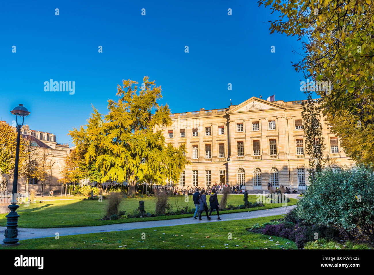 Francia, Gironde, Bordeaux, town hall Giardino (Palais Rohan) con un estratto di Ginkgo biloba in autunno (Patrimonio Mondiale UNESCO) Foto Stock