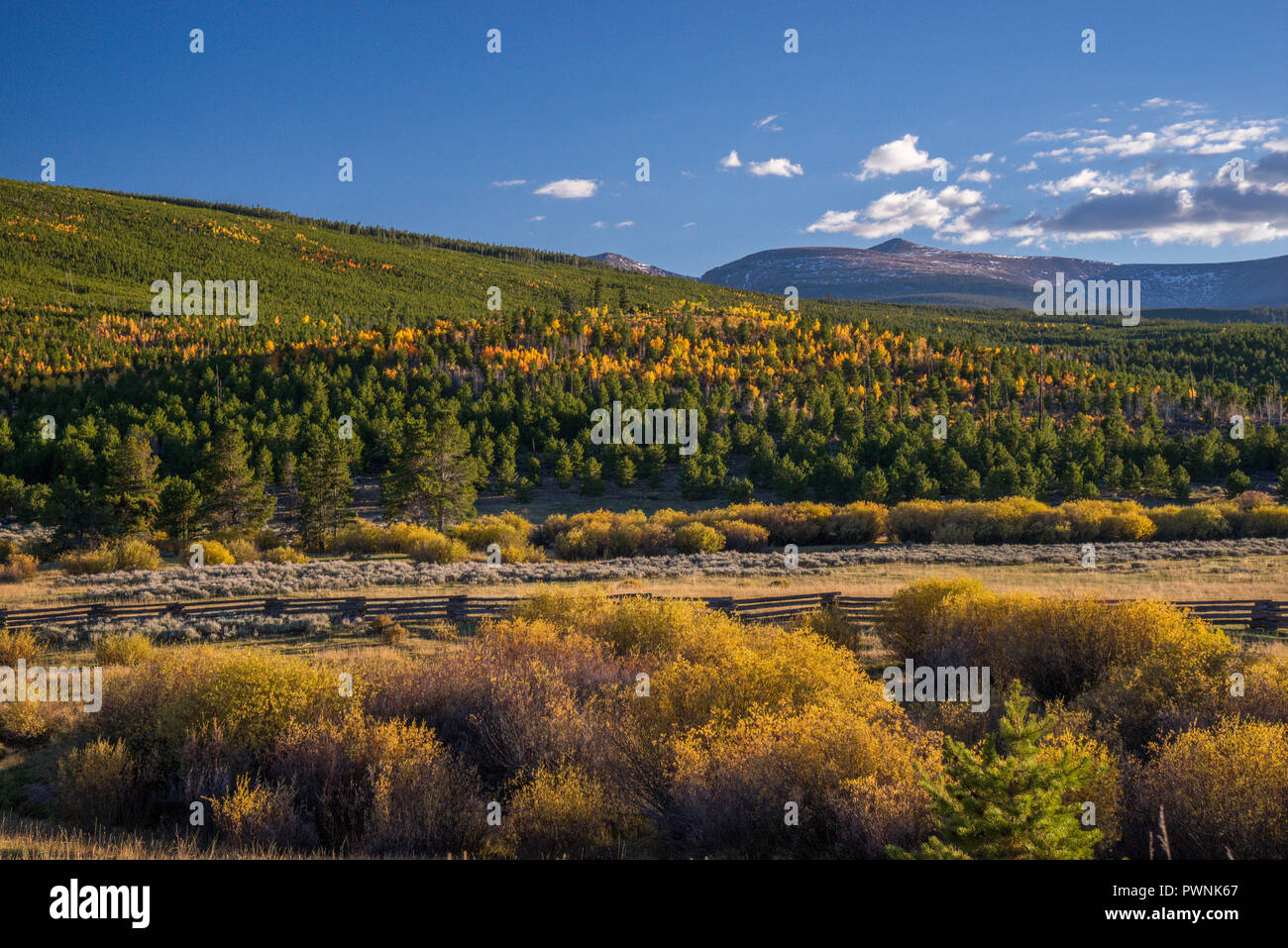 Stati Uniti d'America,UTAH, Ashley National Forest a caduta Foto Stock