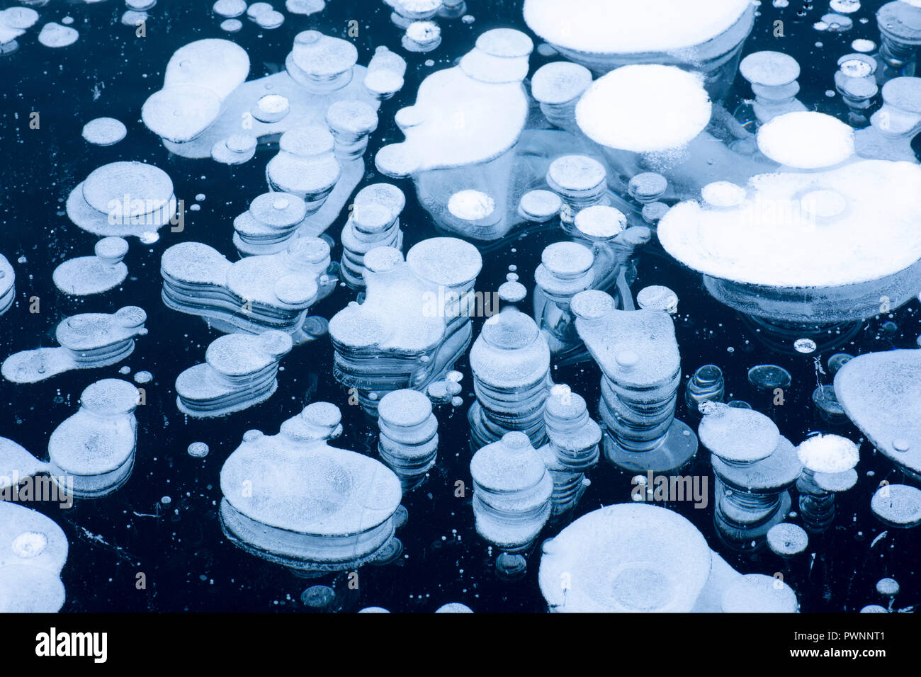 Close up di dettagli e forme delle bolle di ghiaccio, il lago di St Moritz, Canton Grigioni, Engadina, Svizzera Foto Stock