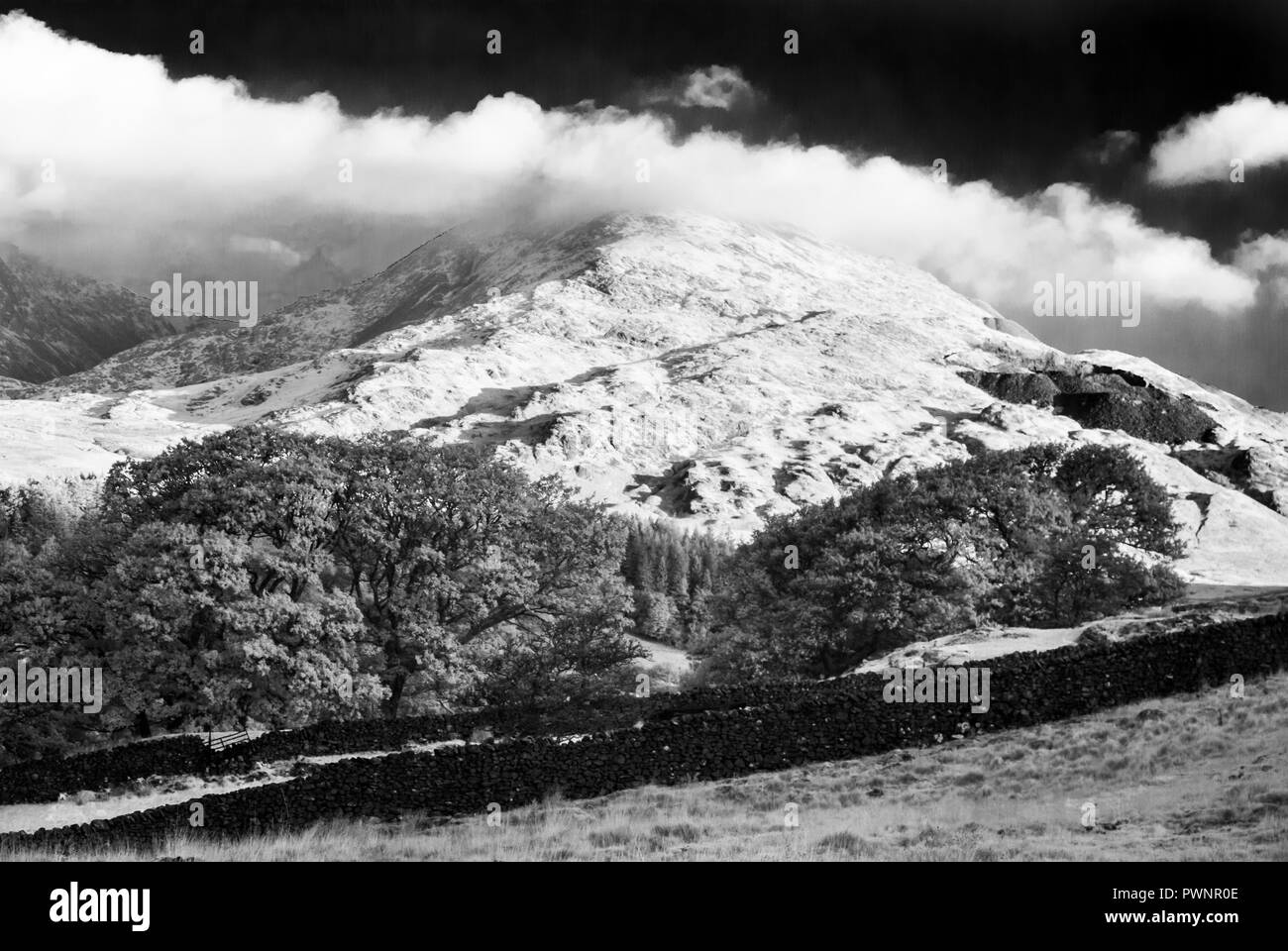 Kelly hall tarn, abbassare il Lake District cumbria Foto Stock