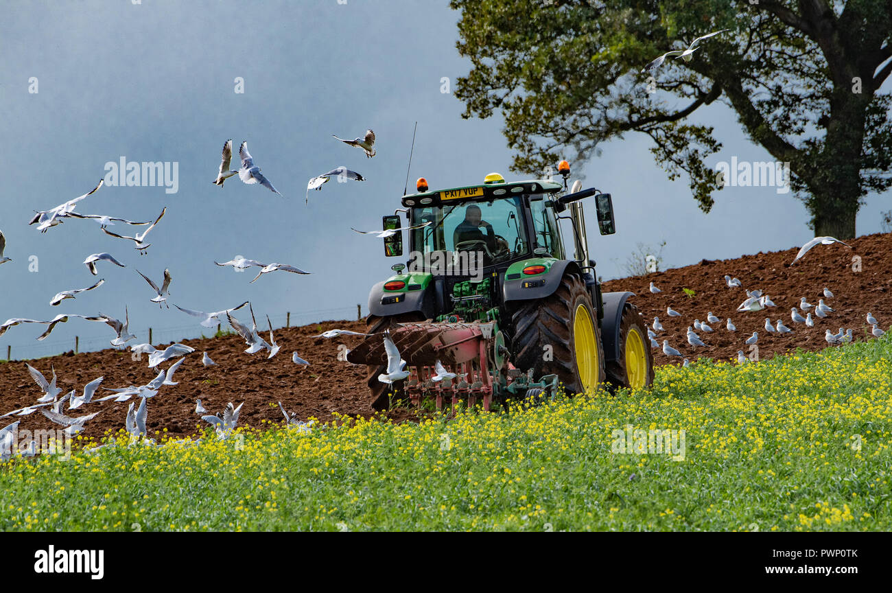 Armathwaite, Carlisle, Cumbria, Regno Unito. 17 ott 2018. Agricoltori lavorano sotto cieli grigi. L'aratura in un greening crop pronto per la cucitura di orzo a Armathwaite, Carlisle, Cumbria. Credito: John Eveson/Alamy Live News Foto Stock