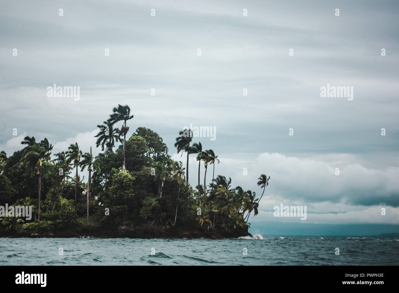 Giornata di vento su una giungla dei Caraibi isola nei pressi di Bocas del Toro, al largo della costa di Panama Foto Stock