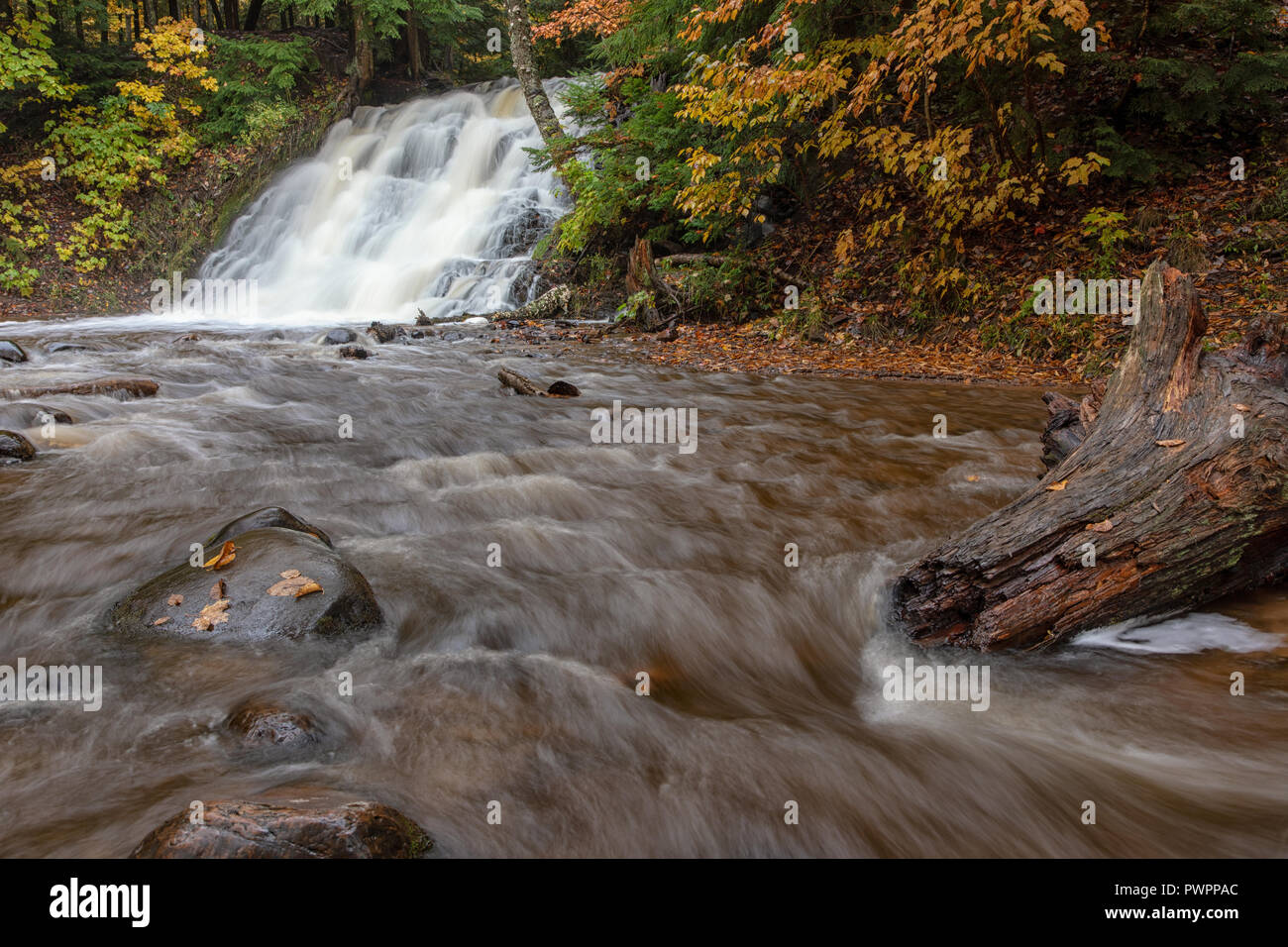 I colori autunnali circondano Morgan cade sul fiume carpe in Marquette Michigan Foto Stock
