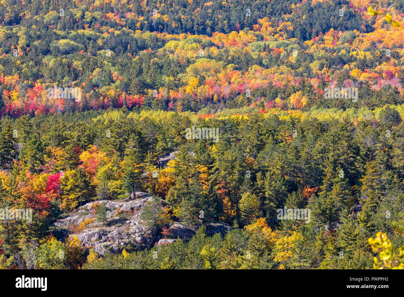 Gli alberi sono istoriati con colori autunnali a Sugarloaf Montagna in Marquette Michigan Foto Stock