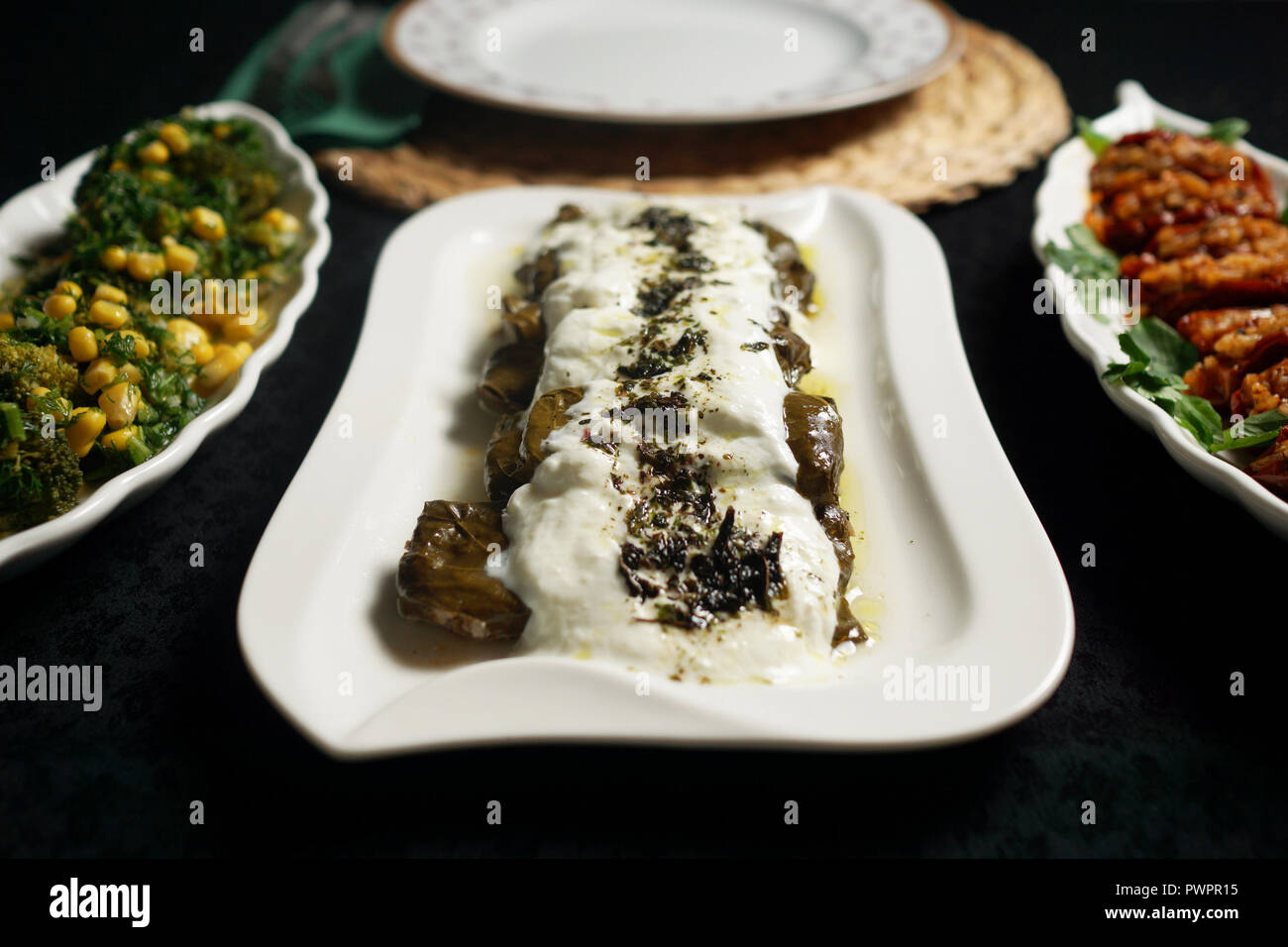 Deliziosi stuzzichini fatti in casa dalla cucina turca presentata in 3 diverse piastre Foto Stock