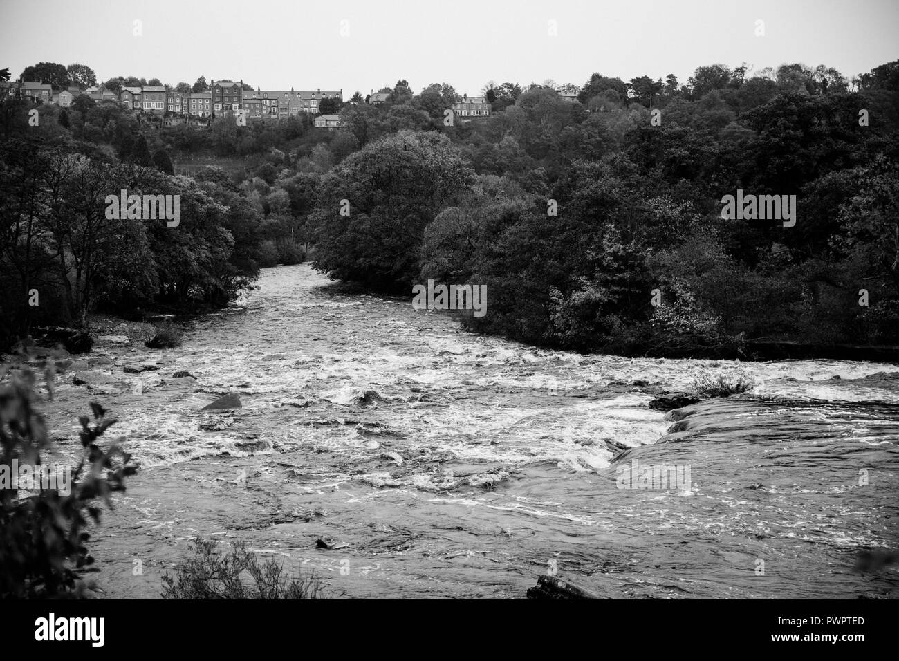 Il fiume Swale in Richmond, Yorkshire su un nuvoloso giorno d'autunno. (Gonfiore fiume, che scorre veloce, più veloce di fiume che scorre in Inghilterra, Swaledale). Foto Stock