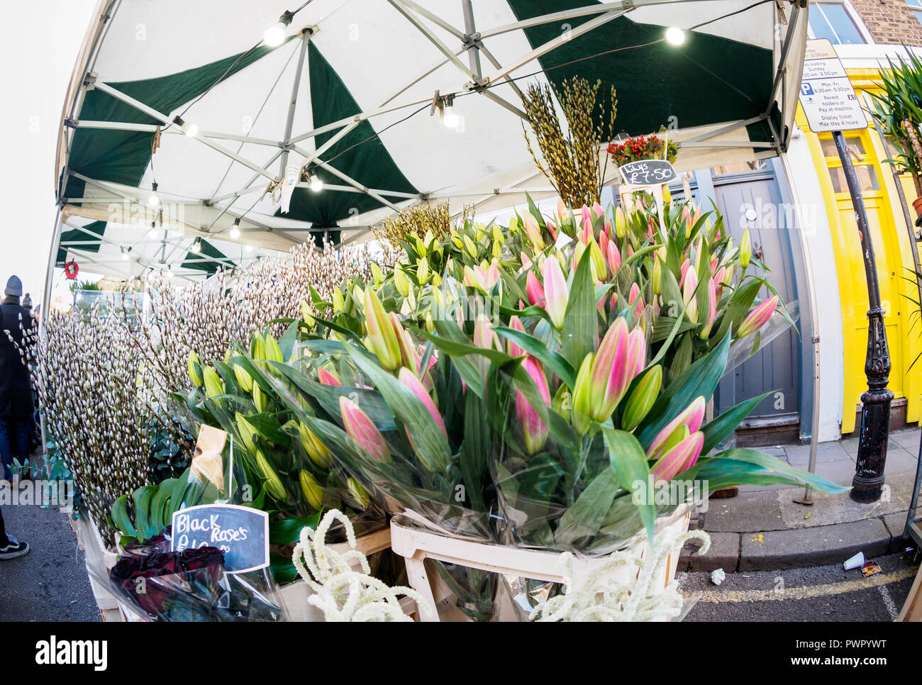 Columbia Road Flower Market East London Foto Stock