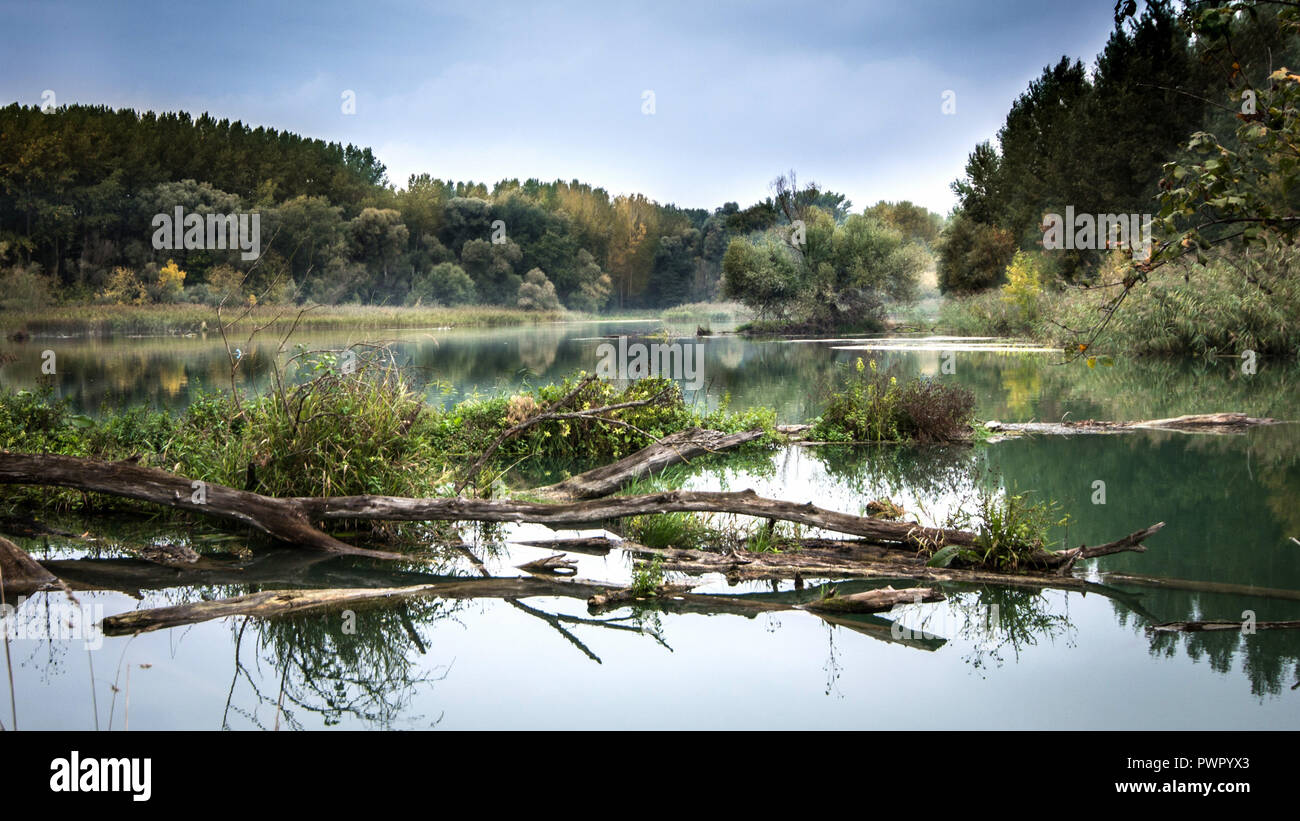 Vista sul Danubio i terreni alluvionali, Slovacchia. Il paesaggio protetto area Dunajské luhy è un importante biotopo di uccelli acquatici. Foto Stock