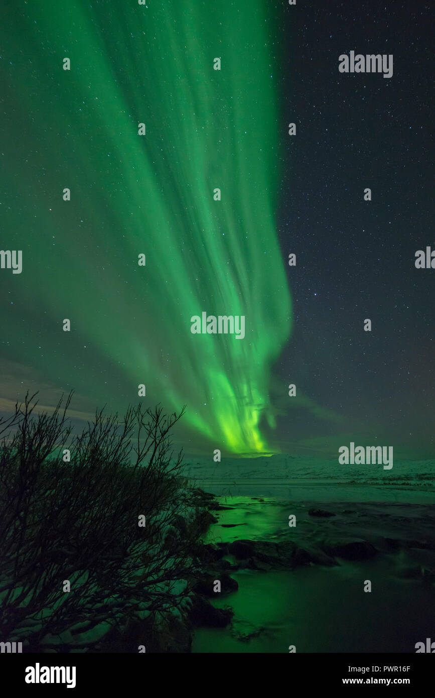 Luci del nord, aurora boreale, montagna, Biggas, Finnmark Foto Stock