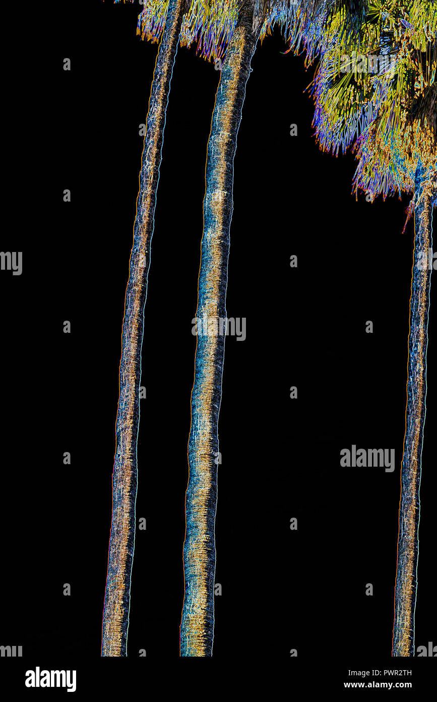 Palme e tronchi di albero foto elaborate con neon effetto. Foto Stock