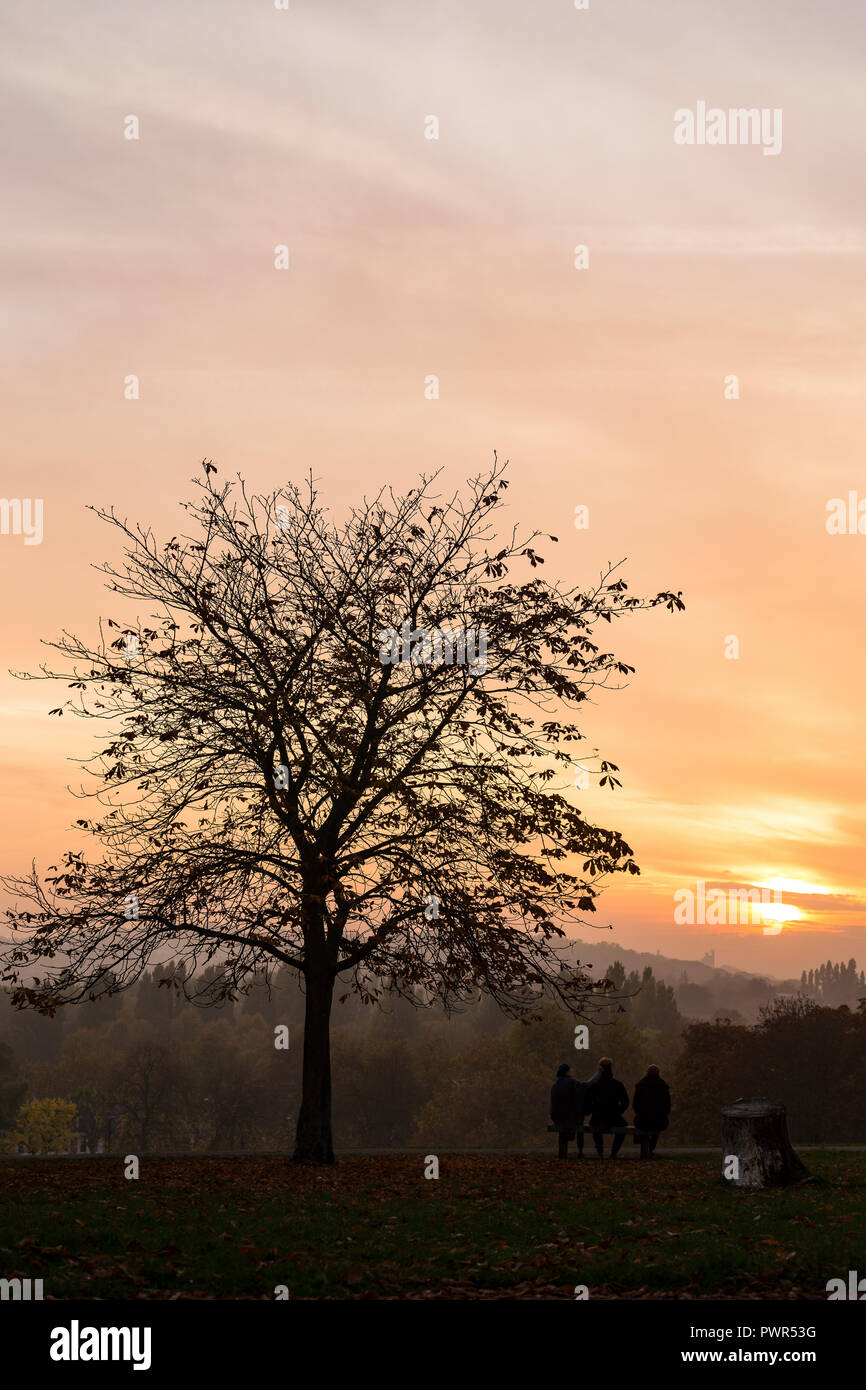 Tre persone sedute sul banco sotto albero nel tardo autunno e guardare il tramonto a sud-est di Londra, Campi collinosi, Brockley, Londra Foto Stock