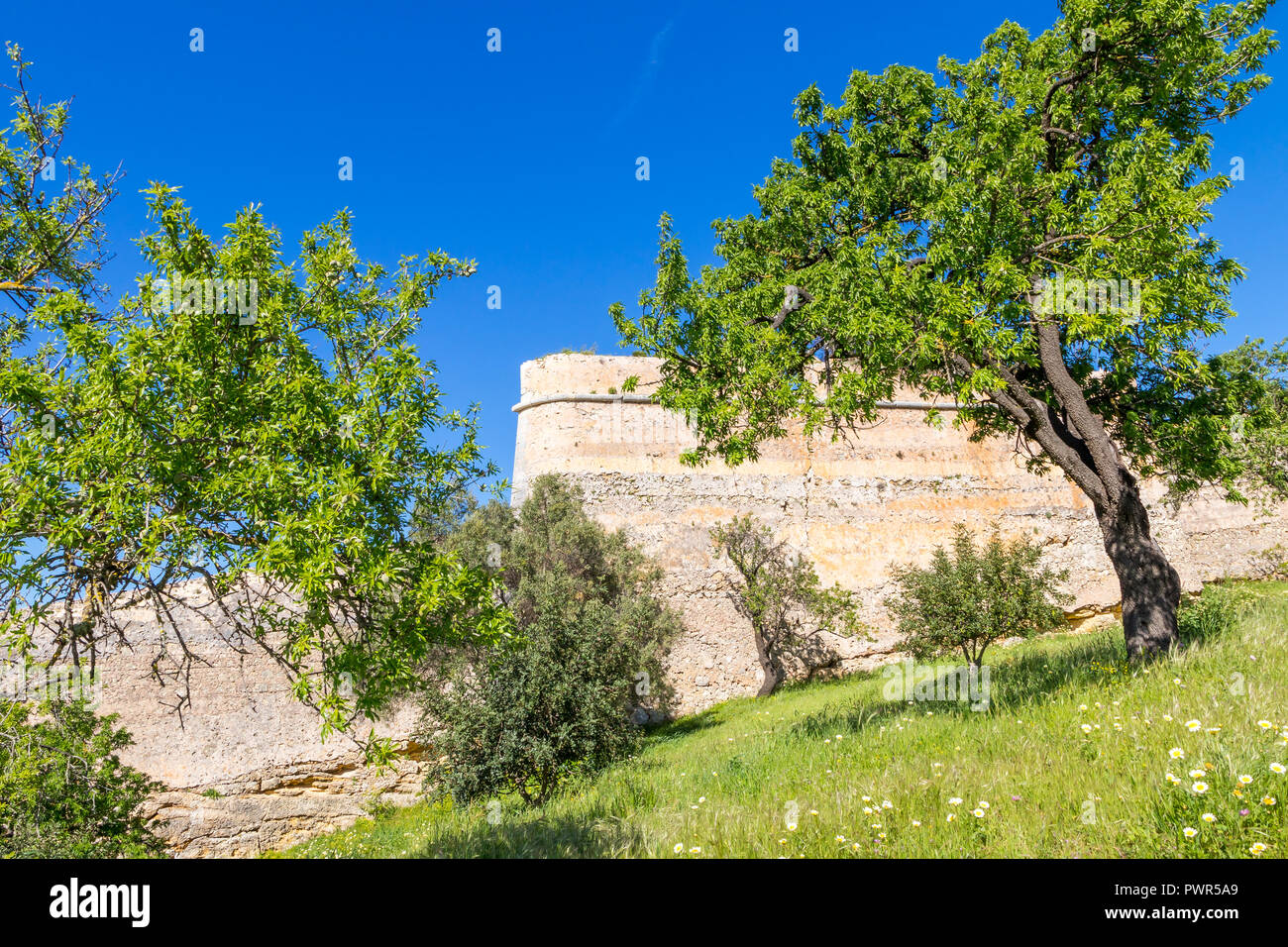 Mura della città vecchia di Lagos visto da una zona a parco, Lagos, Algarve, Portogallo, Europa Foto Stock