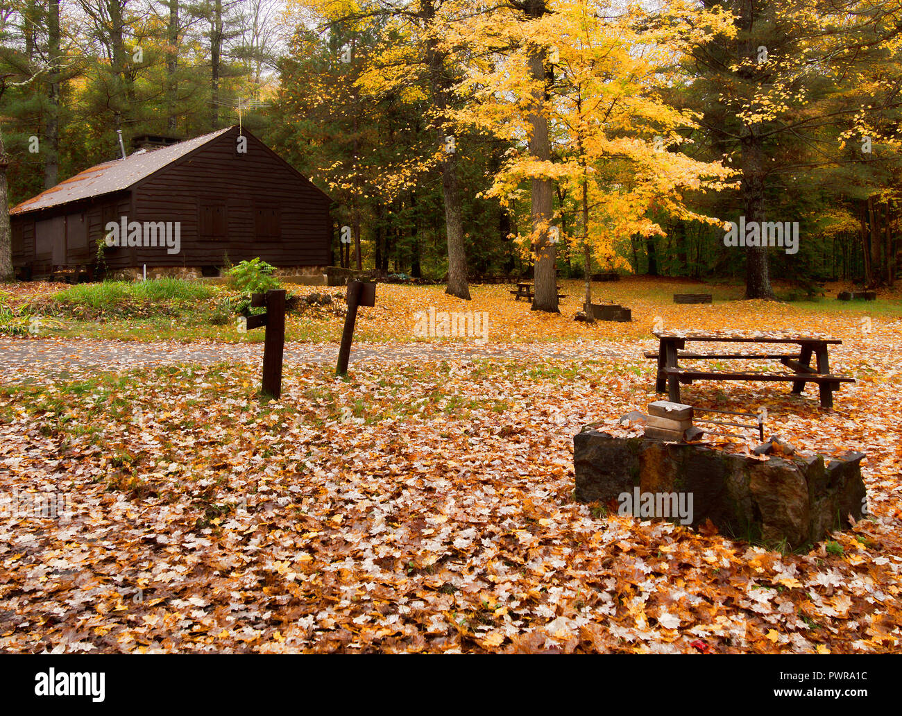 Campeggio in caduta, chiuso per la stagione nel profondo dei boschi Foto Stock