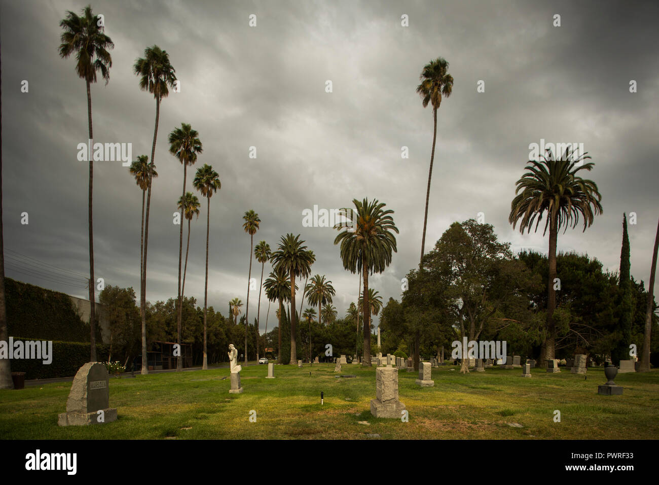 Le Palme al tramonto, Hollywood Forever Cemetery, Hollywood, Los Angeles, California, Stati Uniti d'America Foto Stock