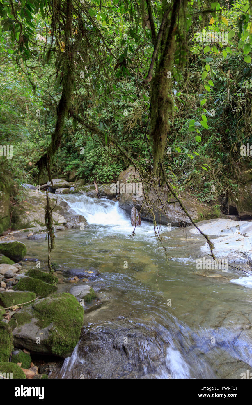 Bellissima valle fluviale in banos, Ecuador Foto Stock