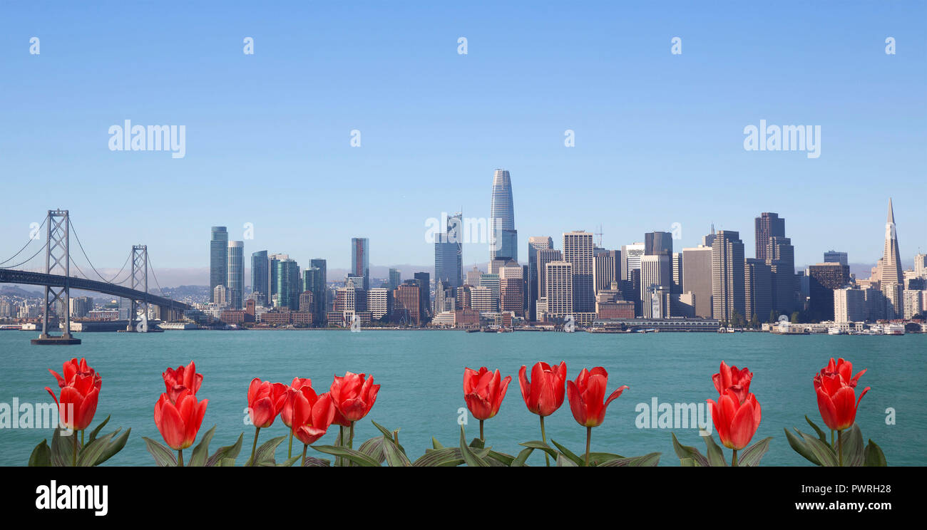 Skyline della città di San Francisco, California Foto Stock