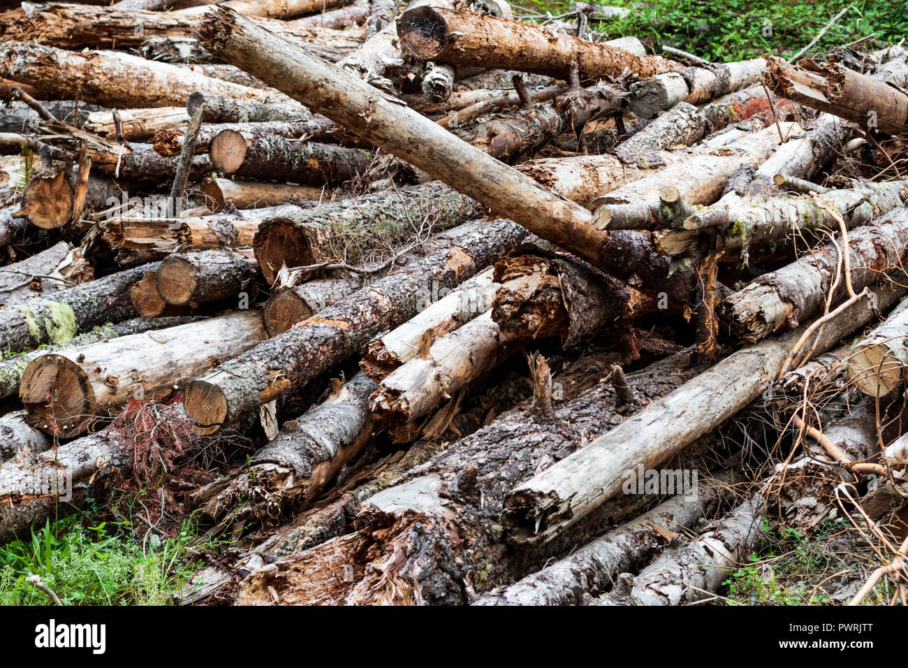 Pila di età weathered indossato vecchi log impilati in modo irregolare Foto Stock