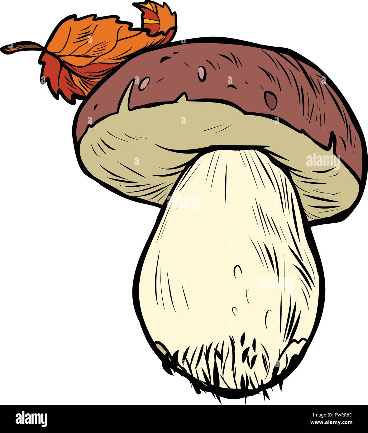 Fungo bianco di funghi porcini Illustrazione Vettoriale