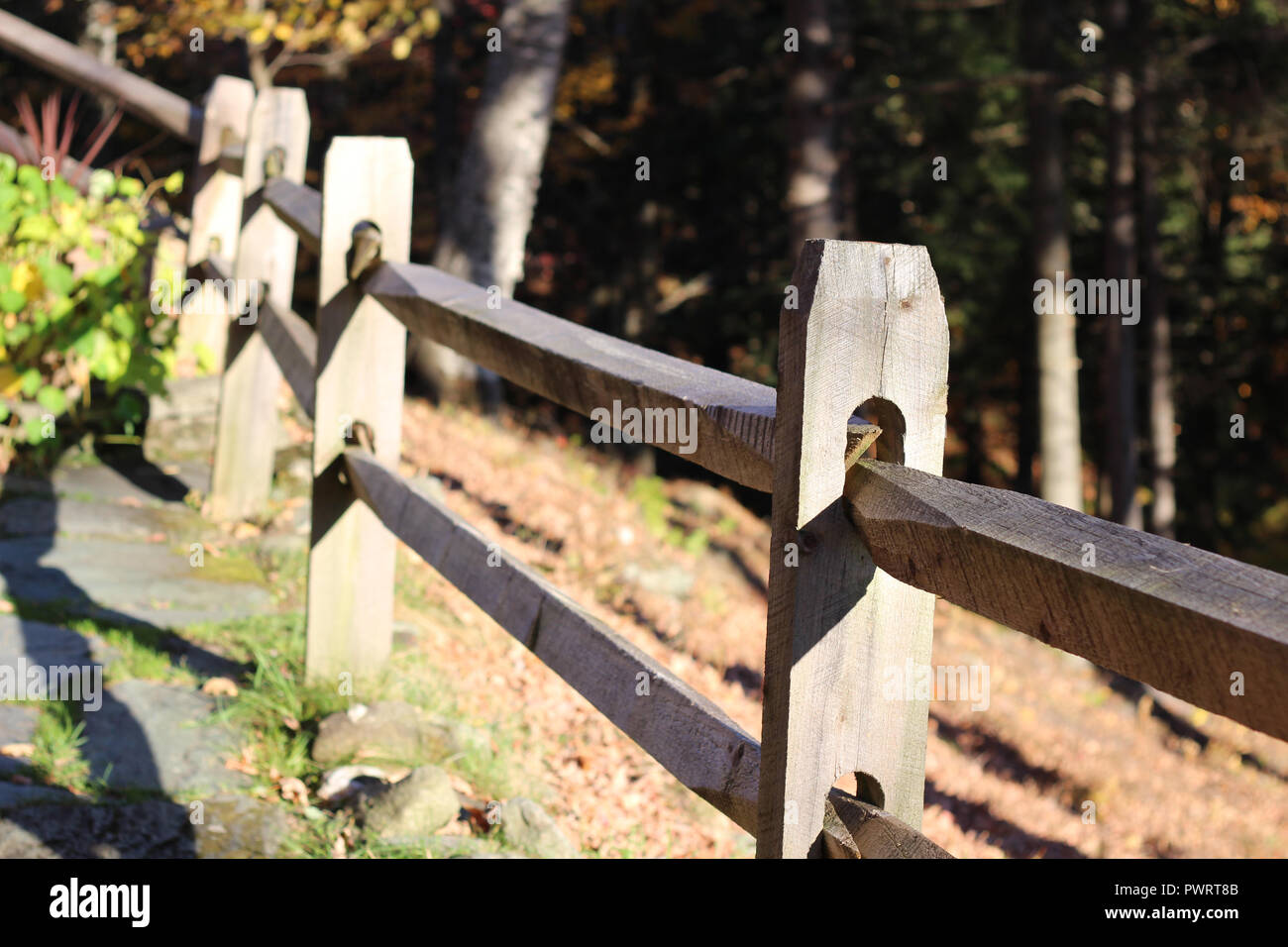 Recinzione rustiche attorno a nord del Vermont Horse Farm Foto Stock