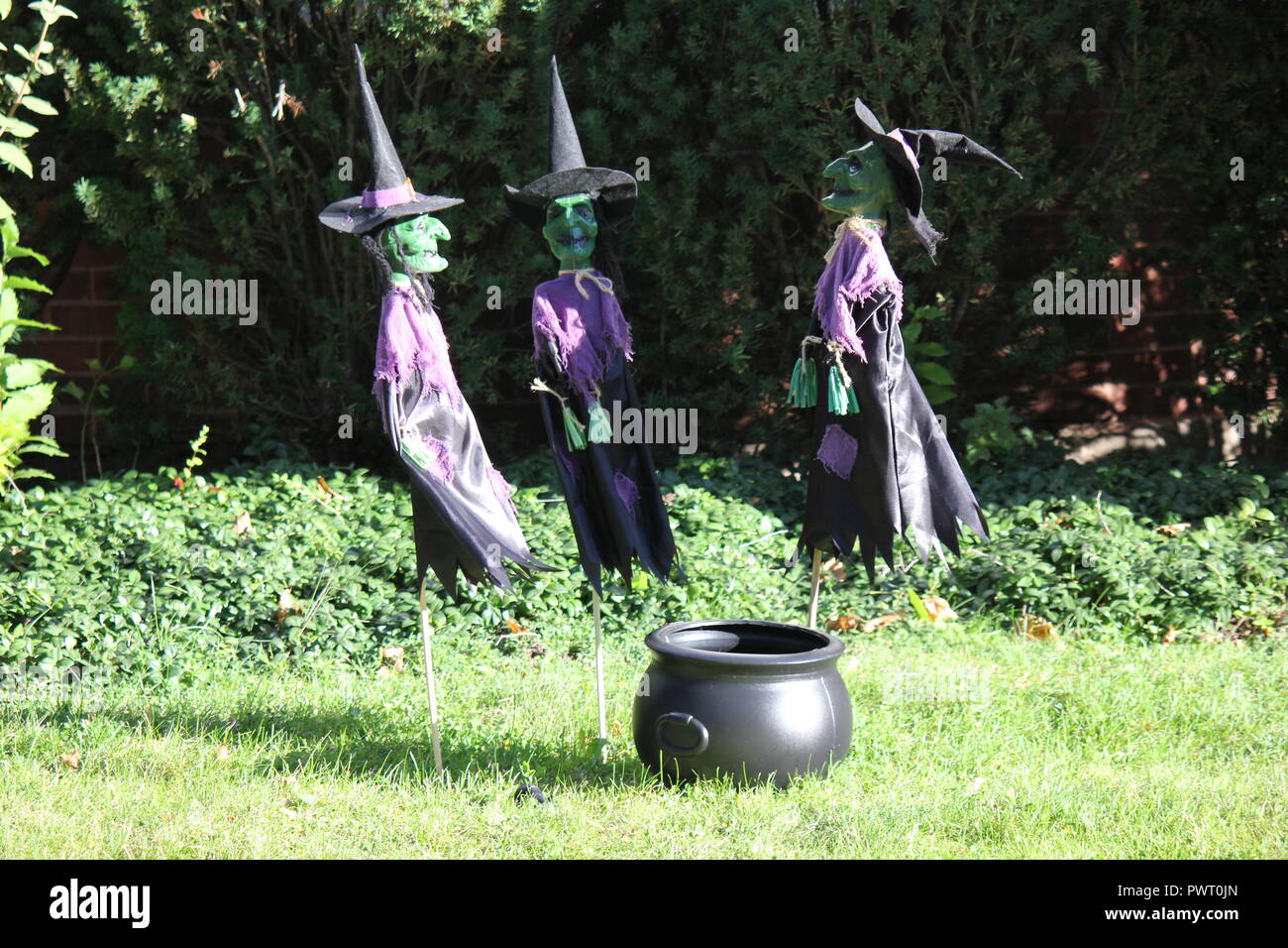 Tre streghe vestito in viola e nero come Halloween decorazioni di prato. Foto Stock