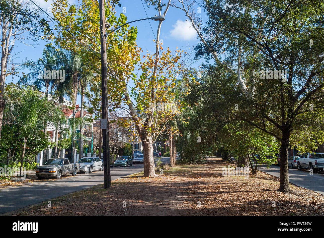 Esplanade Avenue nel Quartiere Francese Foto Stock
