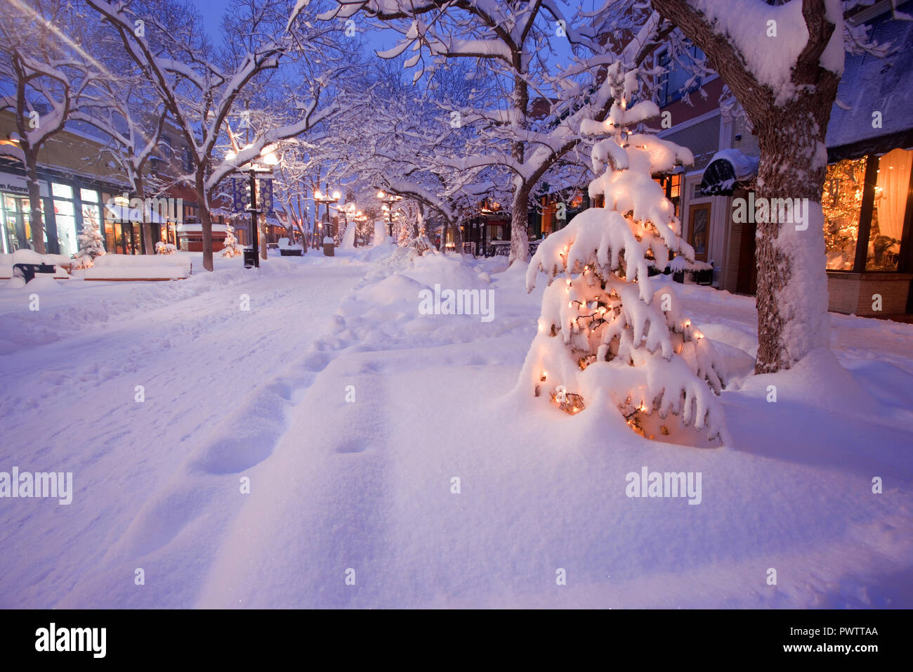 Pearl Street, Boulder, Colorado, Stati Uniti d'America. Foto Stock