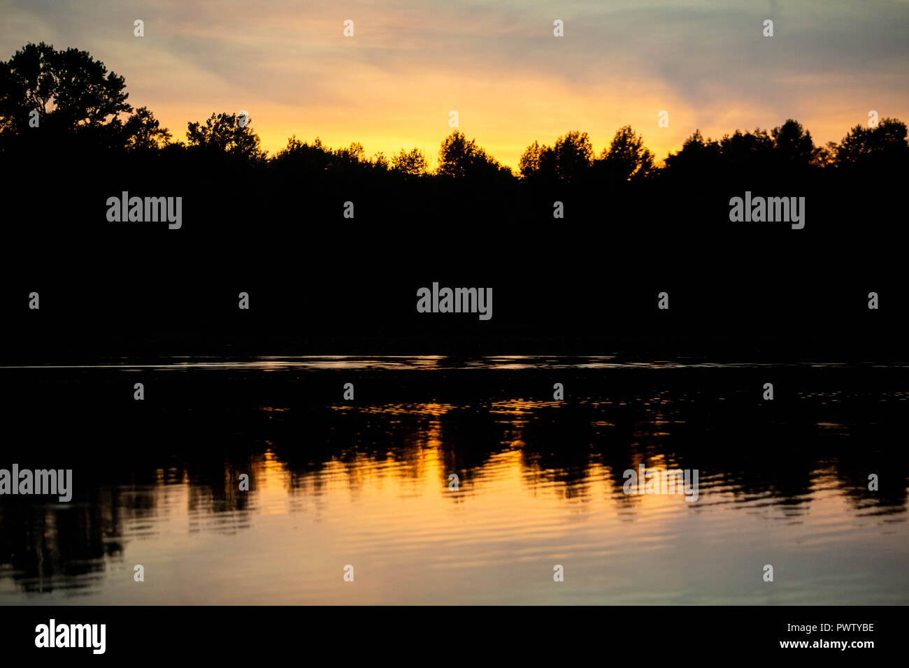 Tramonto al lago di foresta con alberi ombre scure Foto Stock