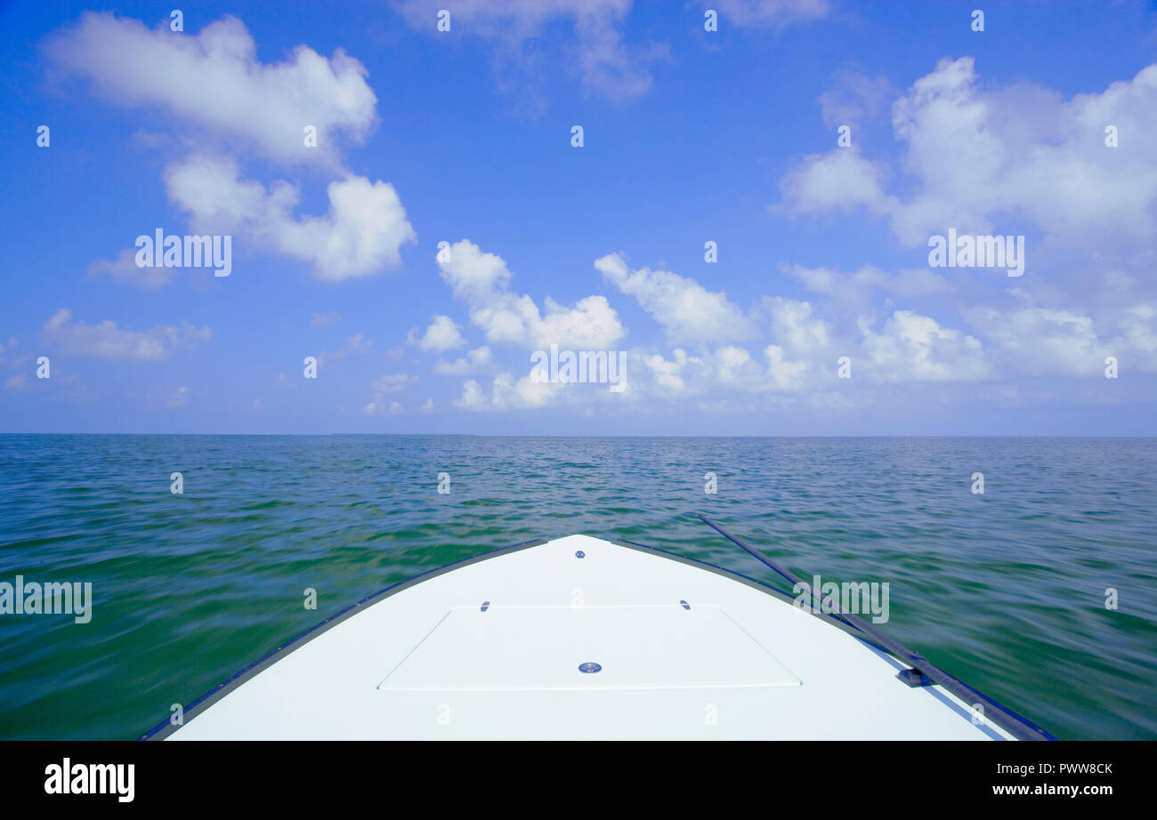 Scena di saltwater fly fishing per Bonefish, Tarpon, roosterfish, mahi mahi, tonno, sgombri e permesso. Foto Stock