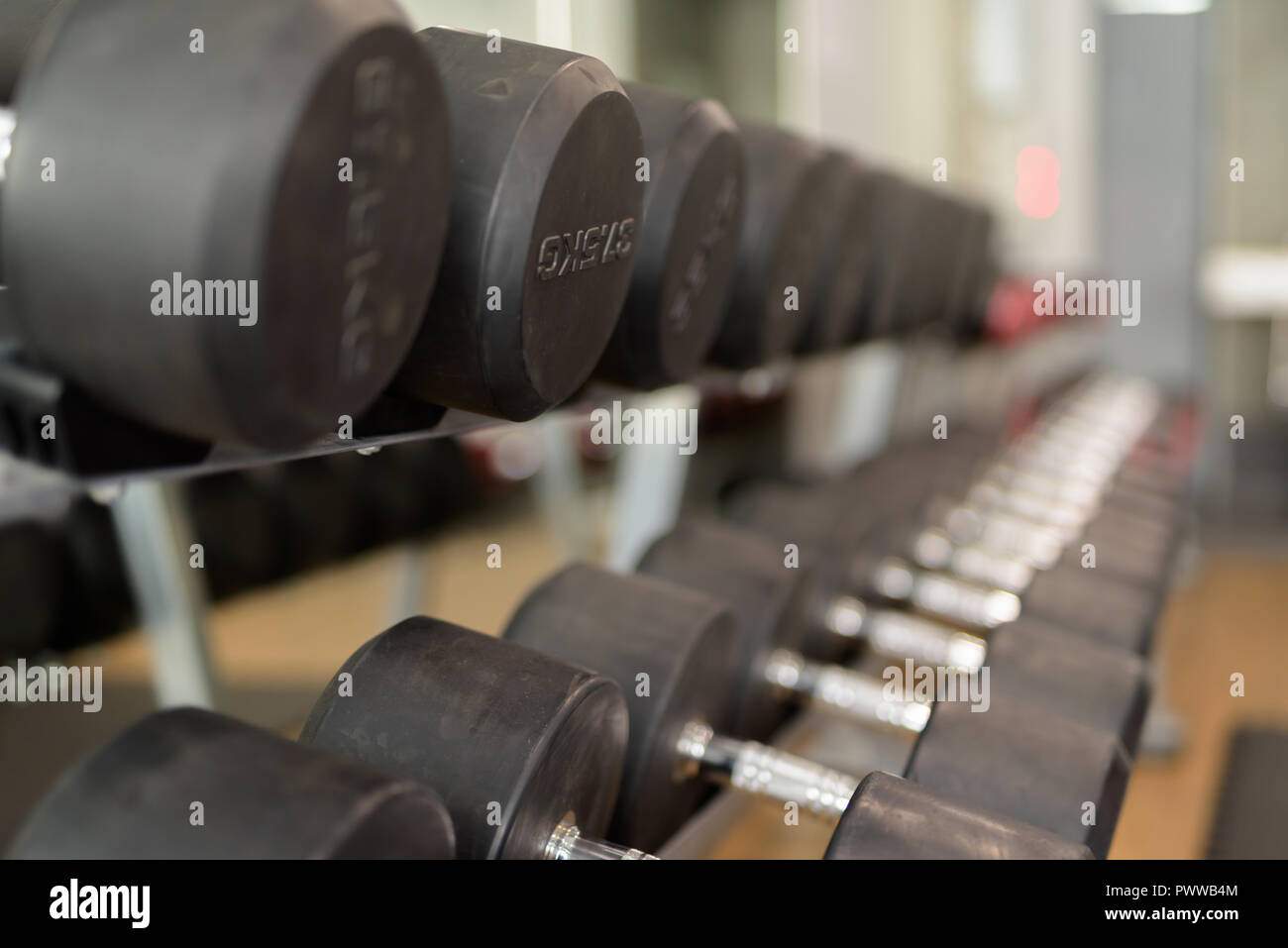 Manubri allineati alla palestra in una riga Foto Stock