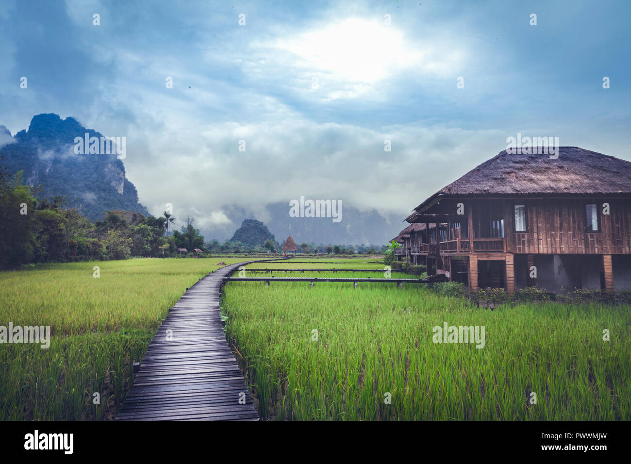Verdi Risaie, percorsi in legno e case di legno in Vang Vieng, Laos di sera Foto Stock