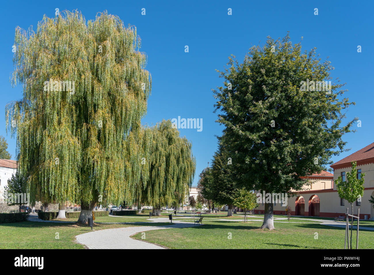 PREJMER, Transilvania/ROMANIA - 20 settembre : visualizzazione dello spazio verde in Prejmer Transilvania Romania il 20 settembre 2018. Una persona non identificata Foto Stock