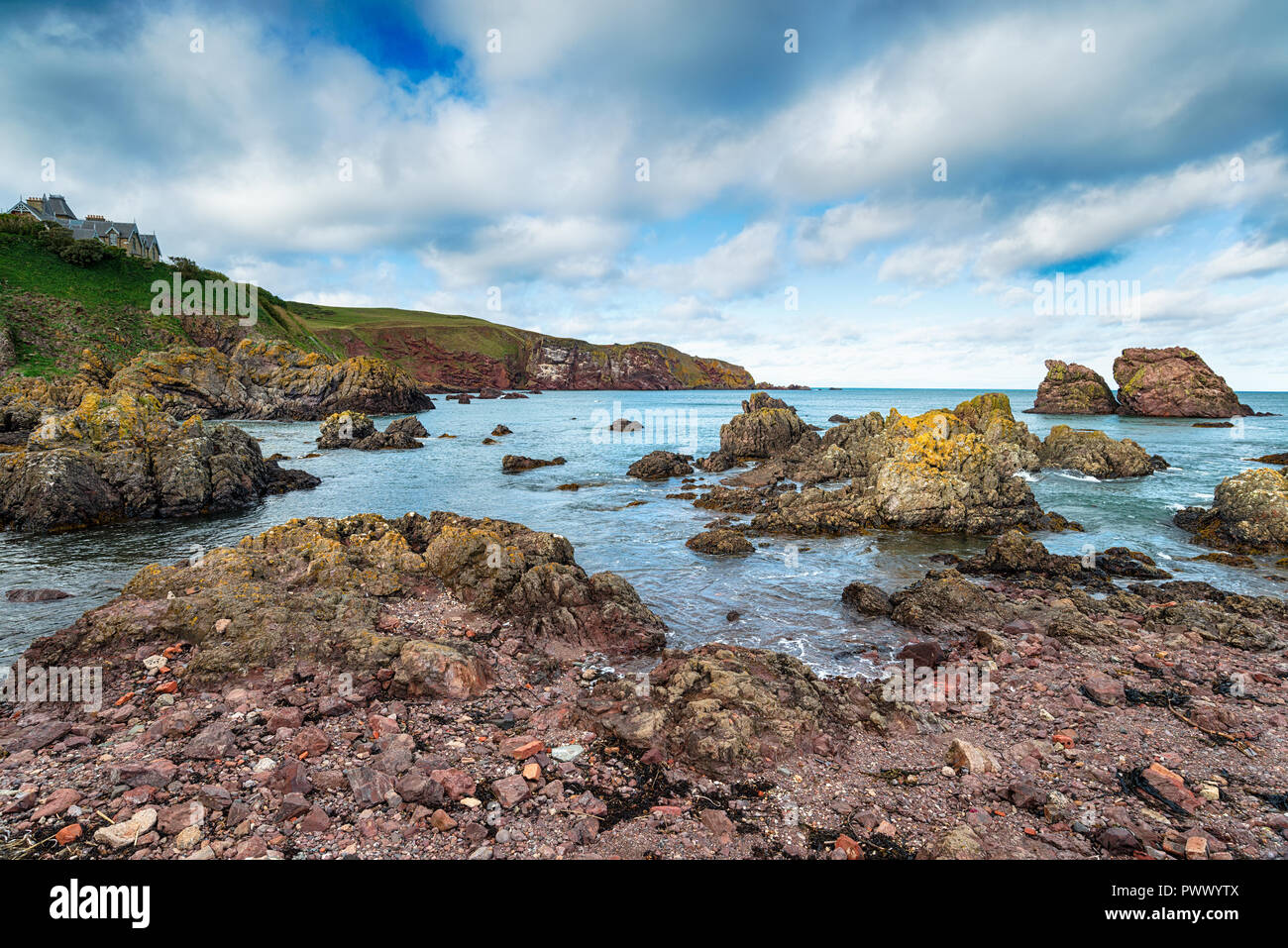 Le formazioni rocciose sulla spiaggia di St Abbs sulla costa est della Scozia Foto Stock