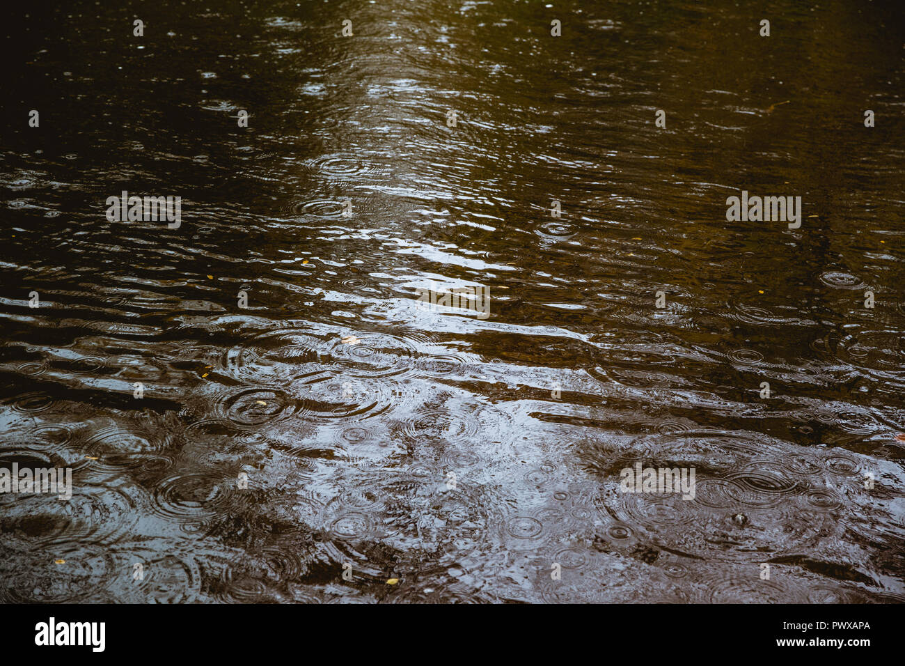 Ripples in acqua (fiume, pozzanghera, stagno, stream, flood) in un giorno di pioggia Foto Stock