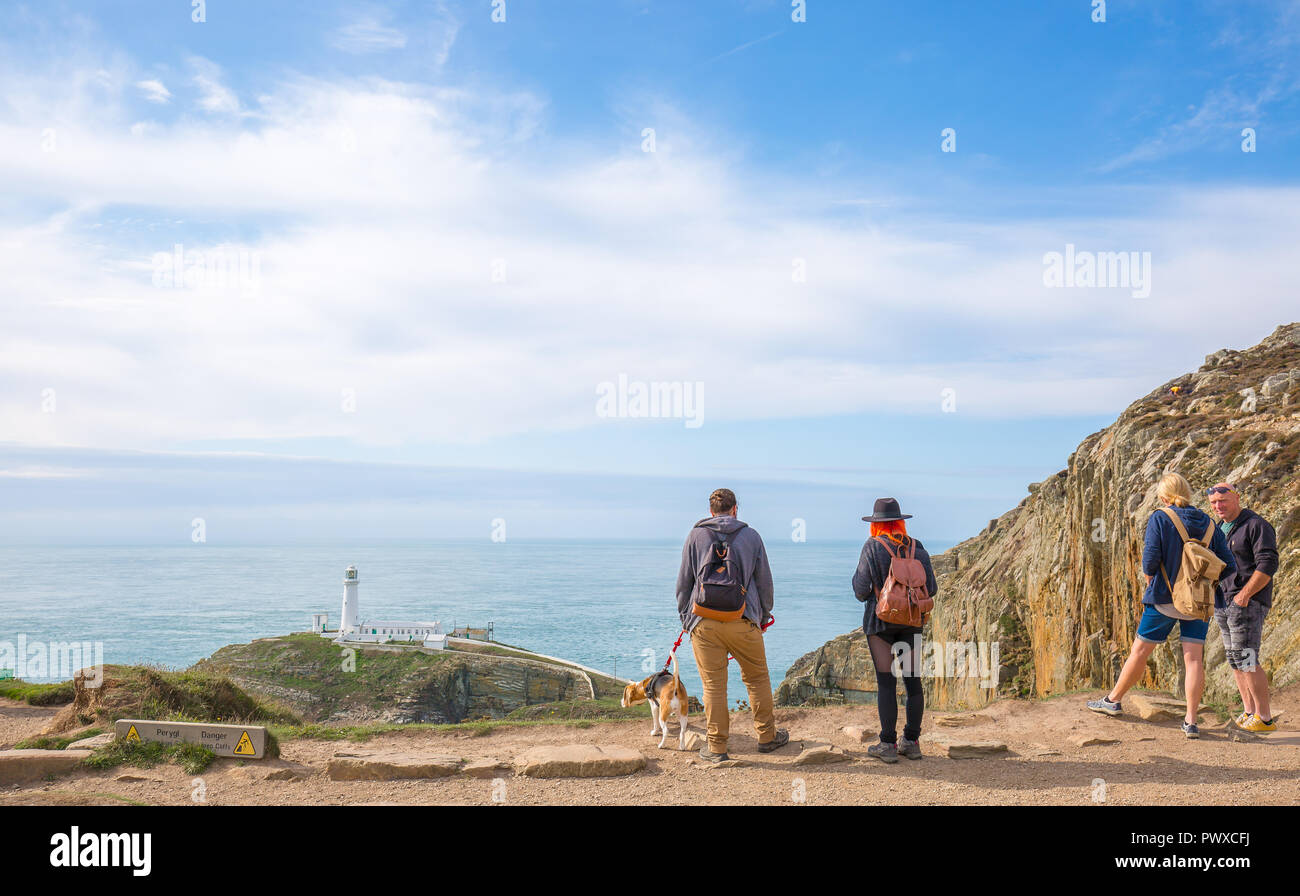 Vista posteriore del popolo stava in piedi al sole (A RSPB Sud pila scogliere) fissando il paesaggio: guardando fuori in mare a sud del faro di stack, Anglesey, Regno Unito. Foto Stock