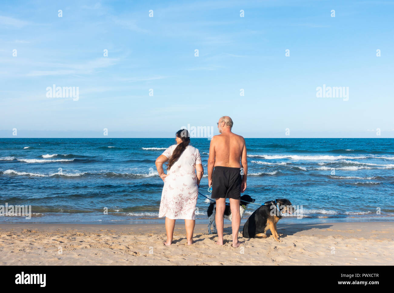 Dog walkers sulla spiaggia. Uomo e donna che guarda a sinistra, cani cercando di destra. Foto Stock