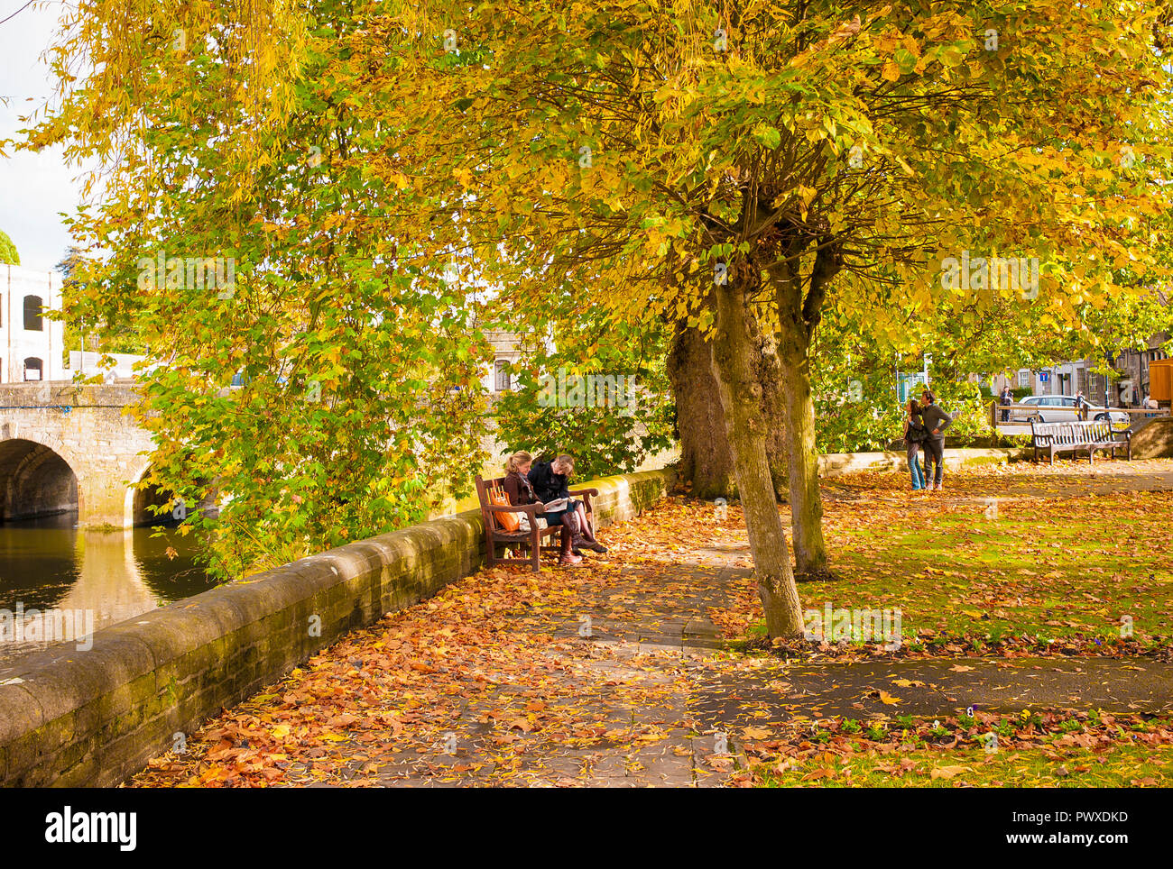 Foglie di autunno in un parco pubblico accanto al fiume Avon in Bradford on Avon nel Wiltshire, Inghilterra REGNO UNITO Foto Stock