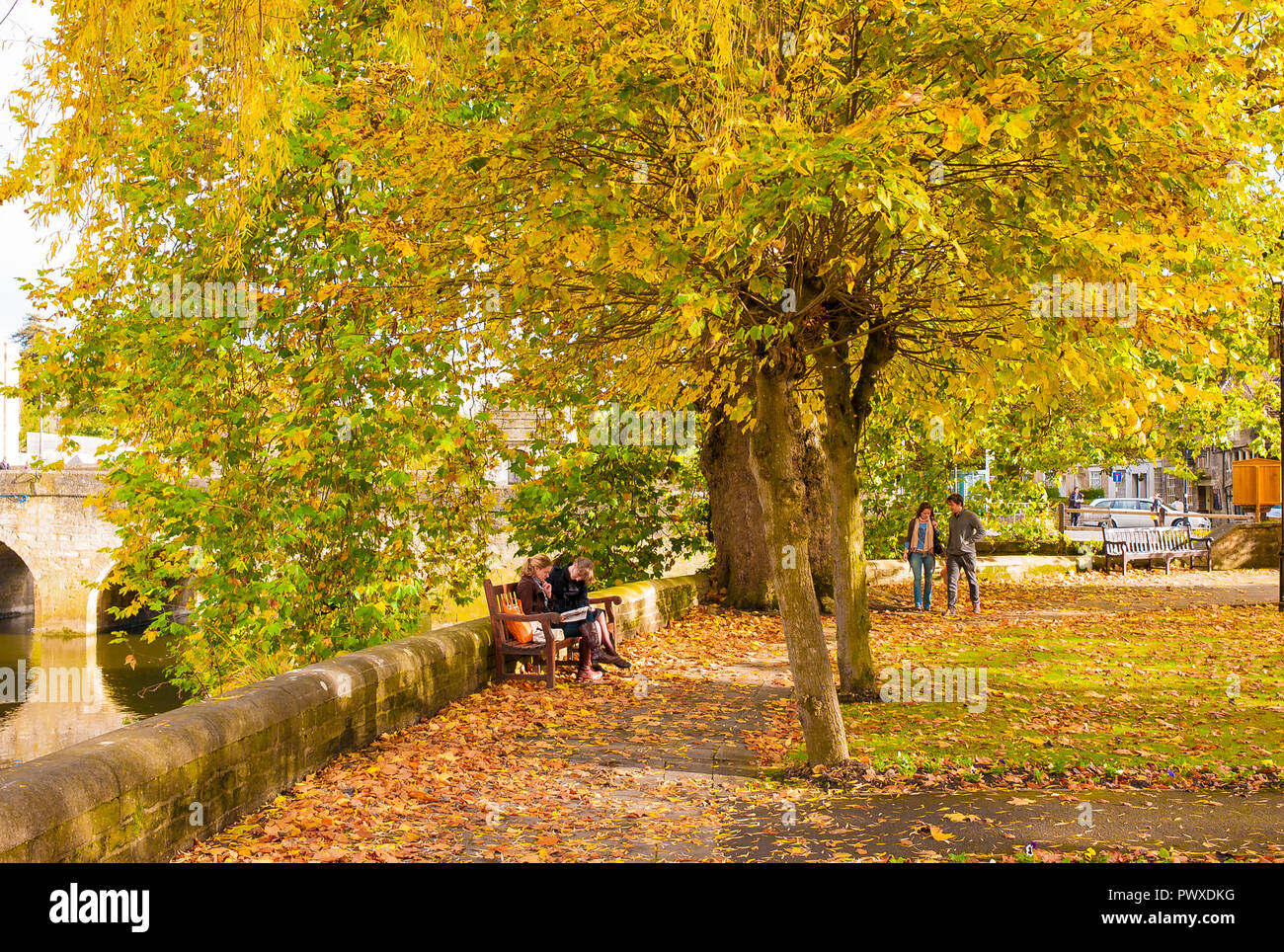 Foglie di autunno in un parco pubblico accanto al fiume Avon in Bradford on Avon nel Wiltshire, Inghilterra REGNO UNITO Foto Stock