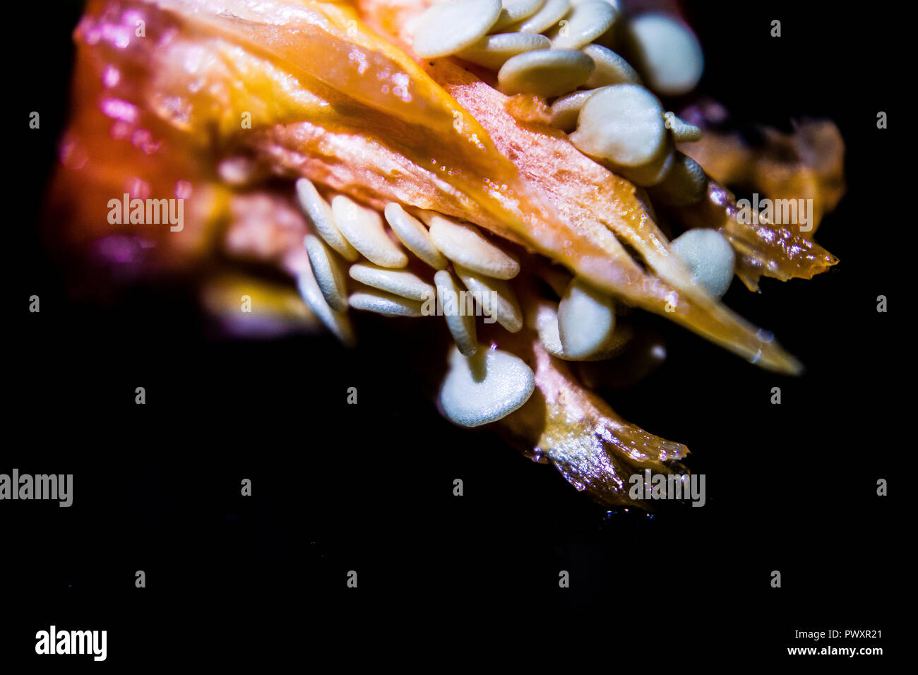 Vari Abstract & Still Life oggetti come visto quotidianamente tutte intorno a noi, Atene Grecia Foto Stock