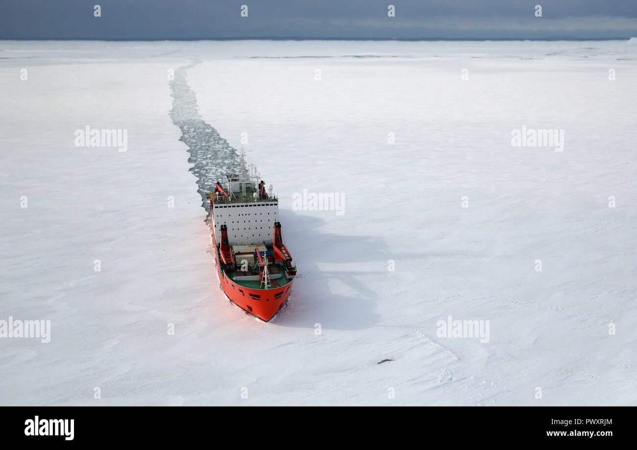 Stazione di progresso, Antartide 3 Gennaio 2016: nave da carico arriva in un porto per lo scarico su un glaçon. Antartico. Foto Stock