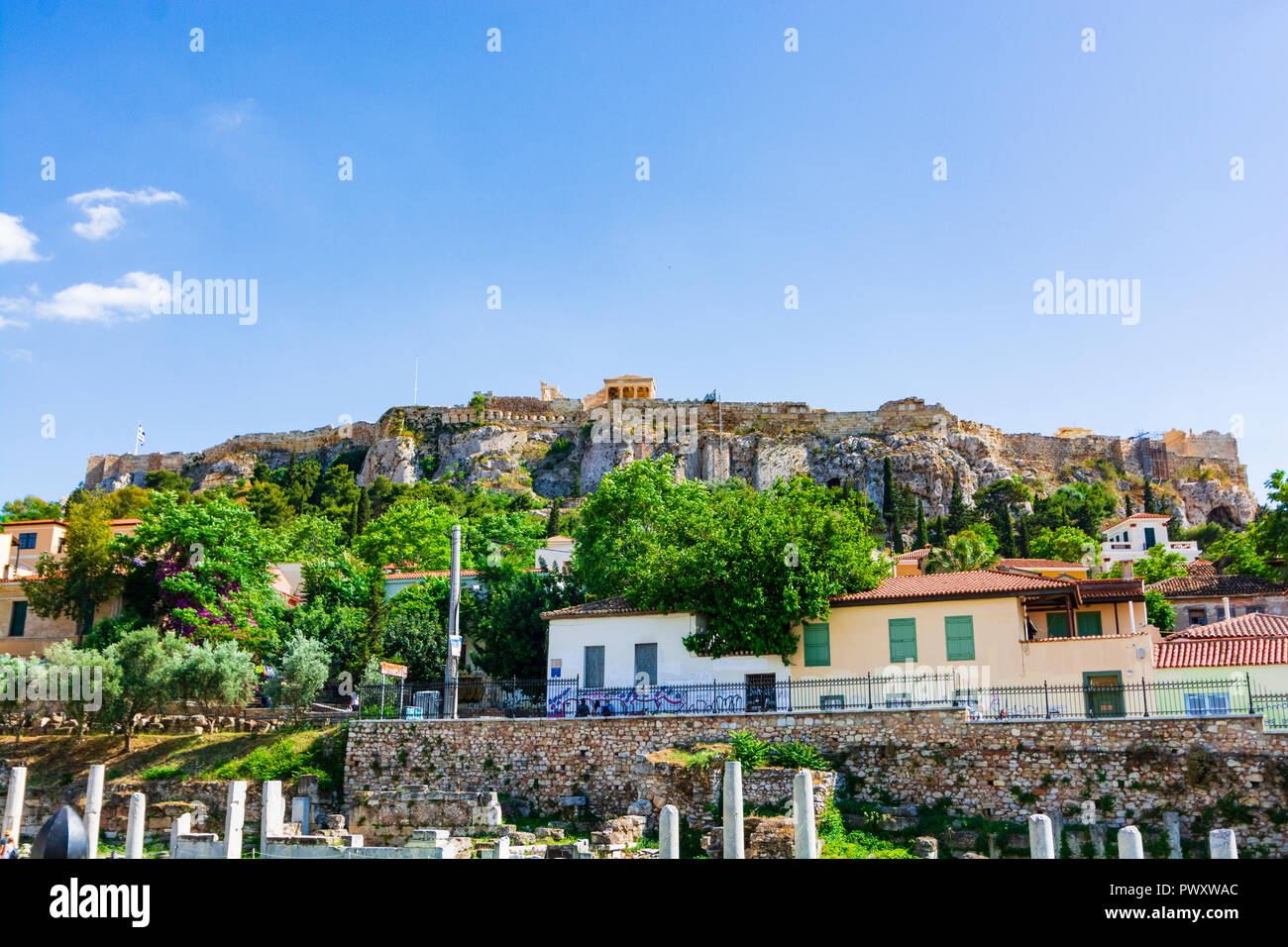 Il ipnotiche e allegri colori della natura tutto intorno a noi, Atene Grecia Foto Stock