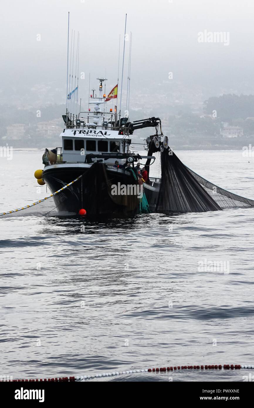 Barcos de pesca de cerco Foto Stock