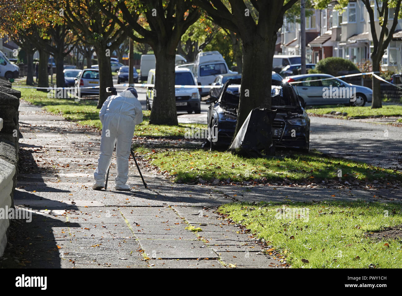 Liverpool, Regno Unito. Il 18 ottobre 2018. Un cordone di polizia attorno ad un bruciato auto in strada Abbeystead Childwall. Un colore scuro Audi abbandonate su un orlo di erba, 1.7 miglia da ultima notte di riprese in Alderson Rd, Wavertree. Un forensics officer è di scattare foto e la raccolta delle prove sulla scena. La polizia non sono dicendo in questa fase se la vettura è stata coinvolta in ultima notte di omicidio. Credito: Ken Biggs/Alamy Live News. Foto Stock