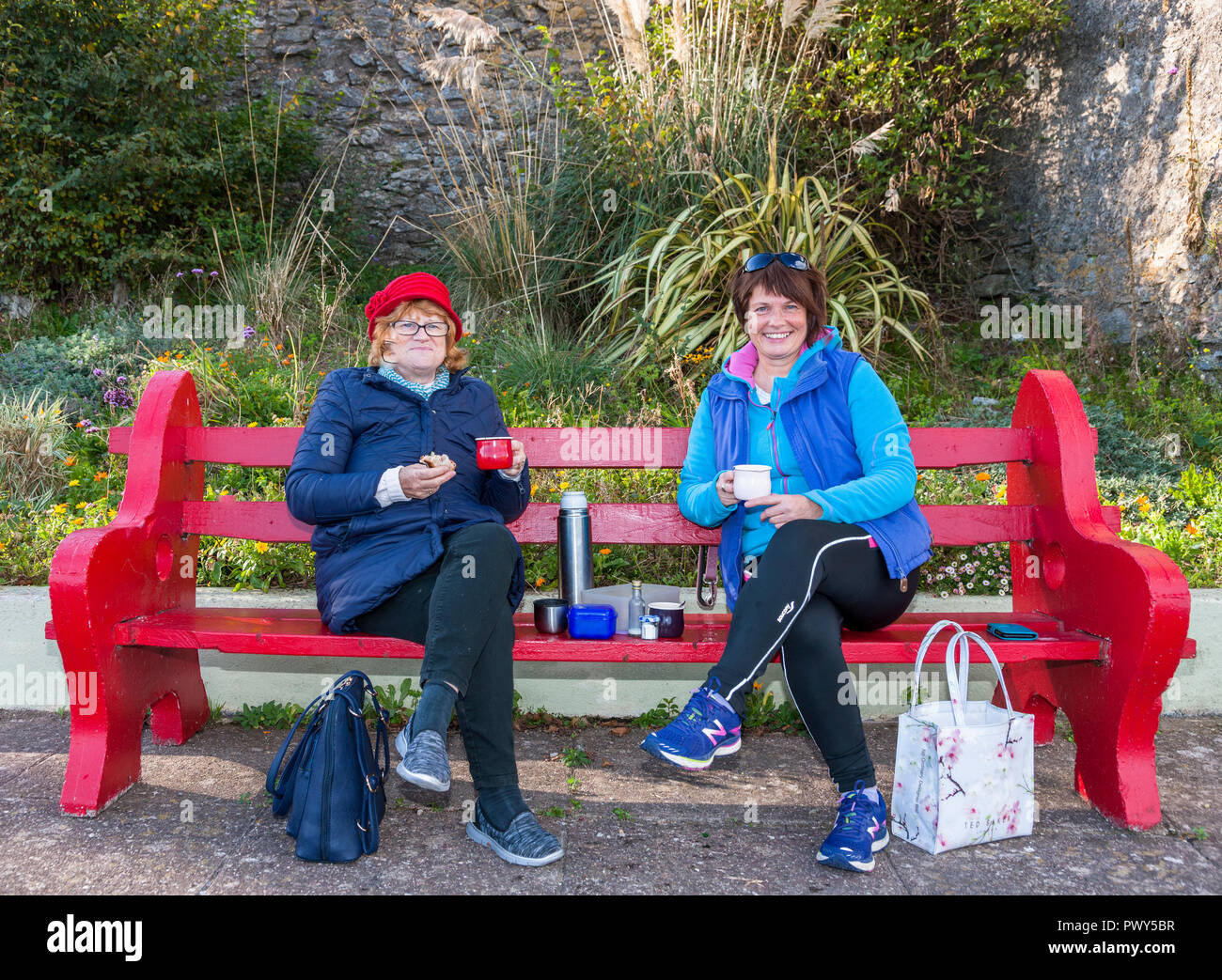 Cobh, Cork, Irlanda, 18 ottobre, 2018. Margaret Lockhart, Leigh on Sea, Essex e la sua amica Fran Whitty, Cobh prendendo tè sul lungomare di punto di bianco, Cobh, Co. Cork, Irlanda Credito: David Creedon/Alamy Live News Foto Stock