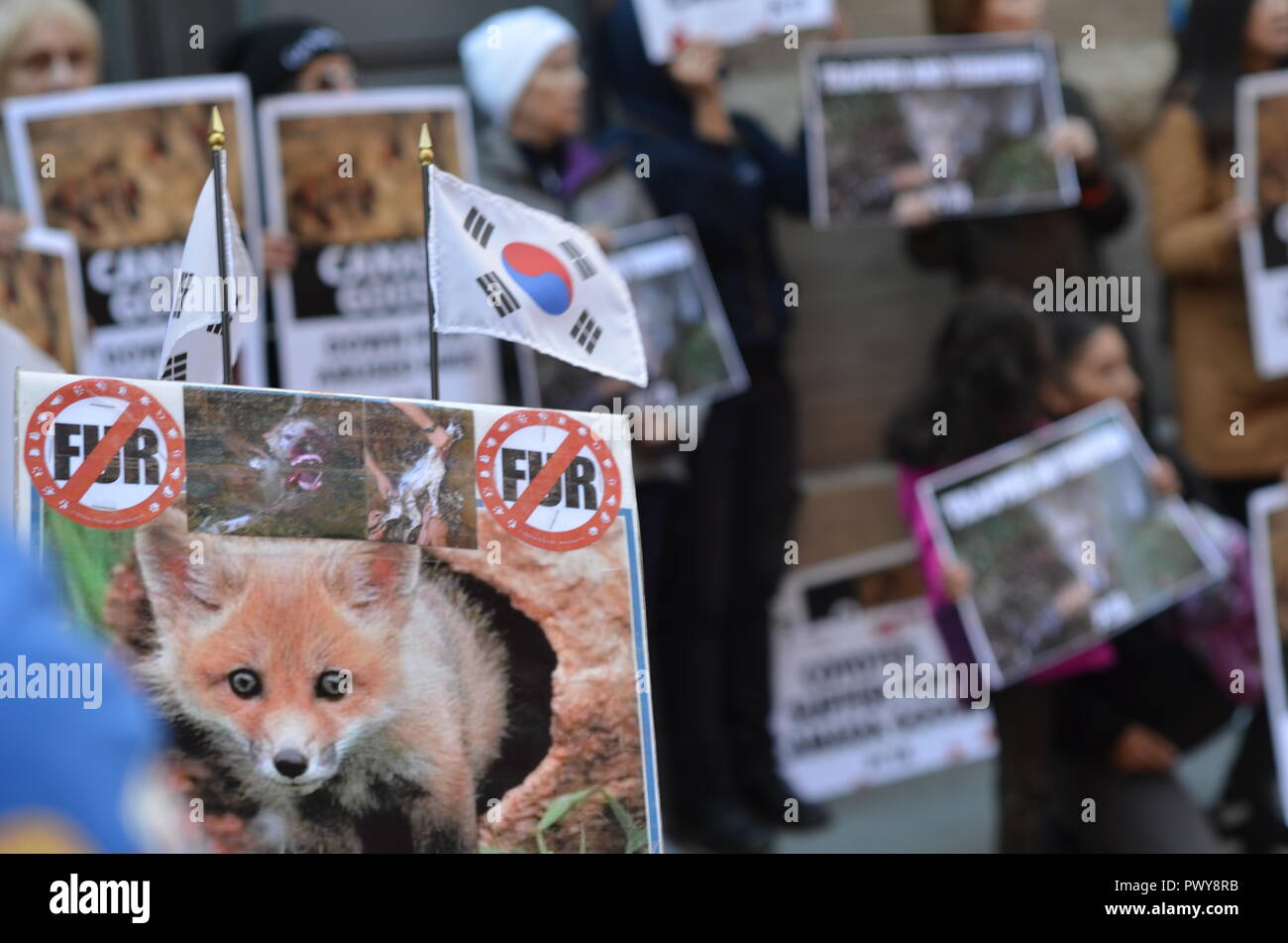 New York Stati Uniti d America. 18 ottobre 2018. Oggi animale diritti manifestanti hanno dimostrato fino al di fuori del nuovo Canada Goose store Soho di New York City. Come temperature drop e Newyork...
