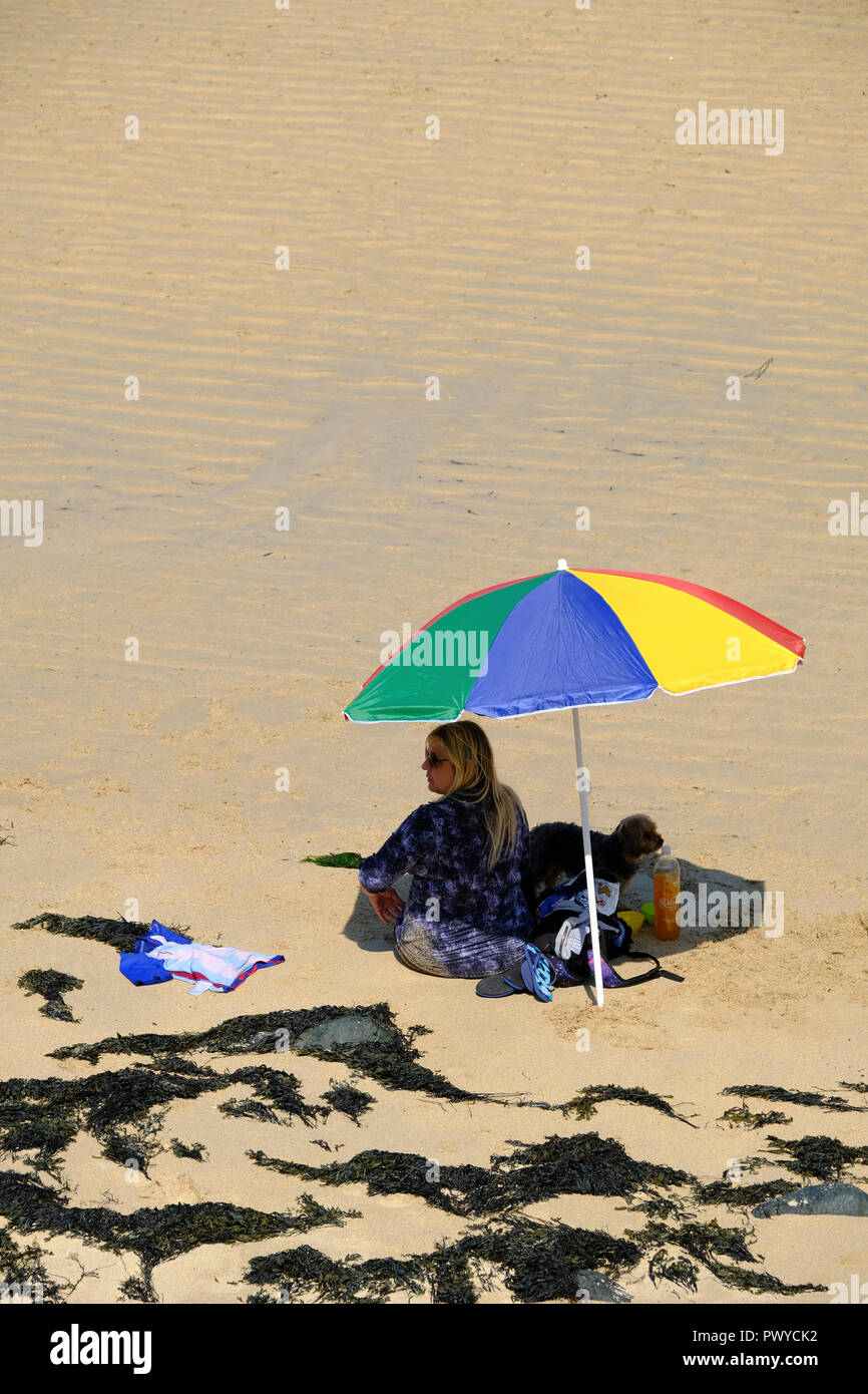Donna con piccolo cane seduto sulla spiaggia sotto ombrellone Foto Stock