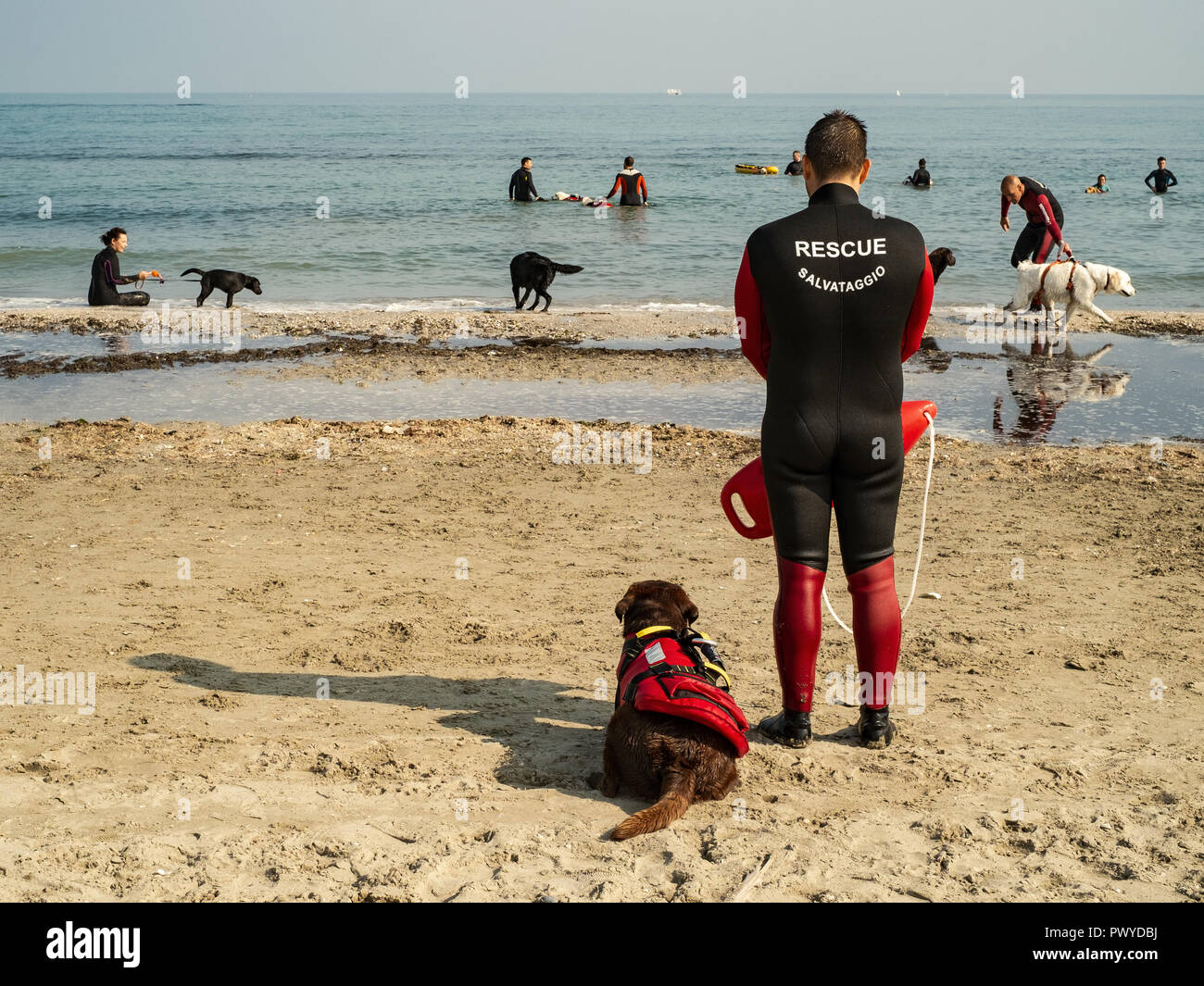 Cervia, Ravenna, Italia - 10/14/2018. Salvataggio addestramento cani sulla spiaggia. Foto Stock